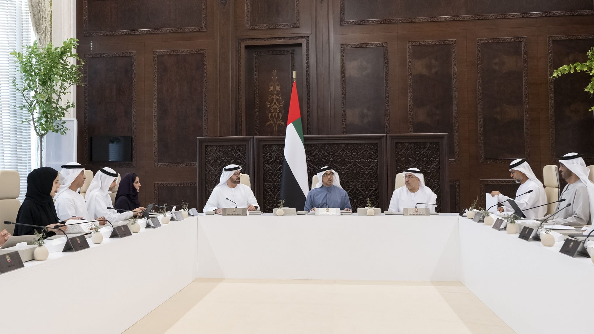 Image for the title: Mansour bin Zayed chairs Ministerial Development Council 
