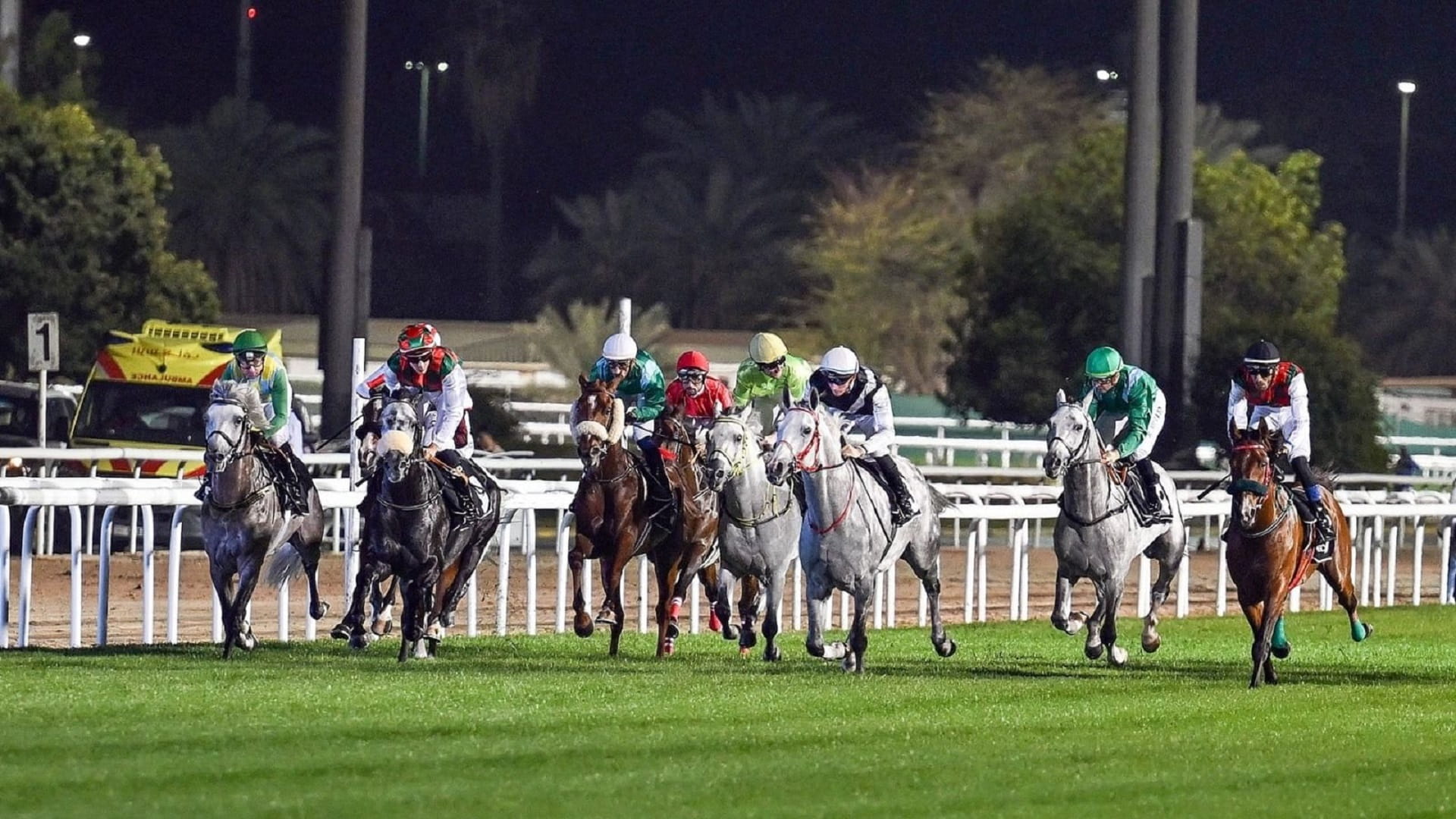 صورة بعنوان: نخبة الخيول العربية تتنافس بسباق الإمارات على مضمار أبوظبي السبت 