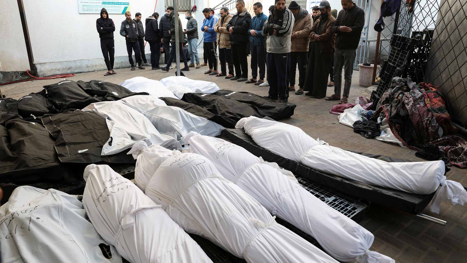 صورة بعنوان: الهجوم الإسرائيلي يقتل 31645 فلسطينياً ويجرح 73676 في قطاع غزة  