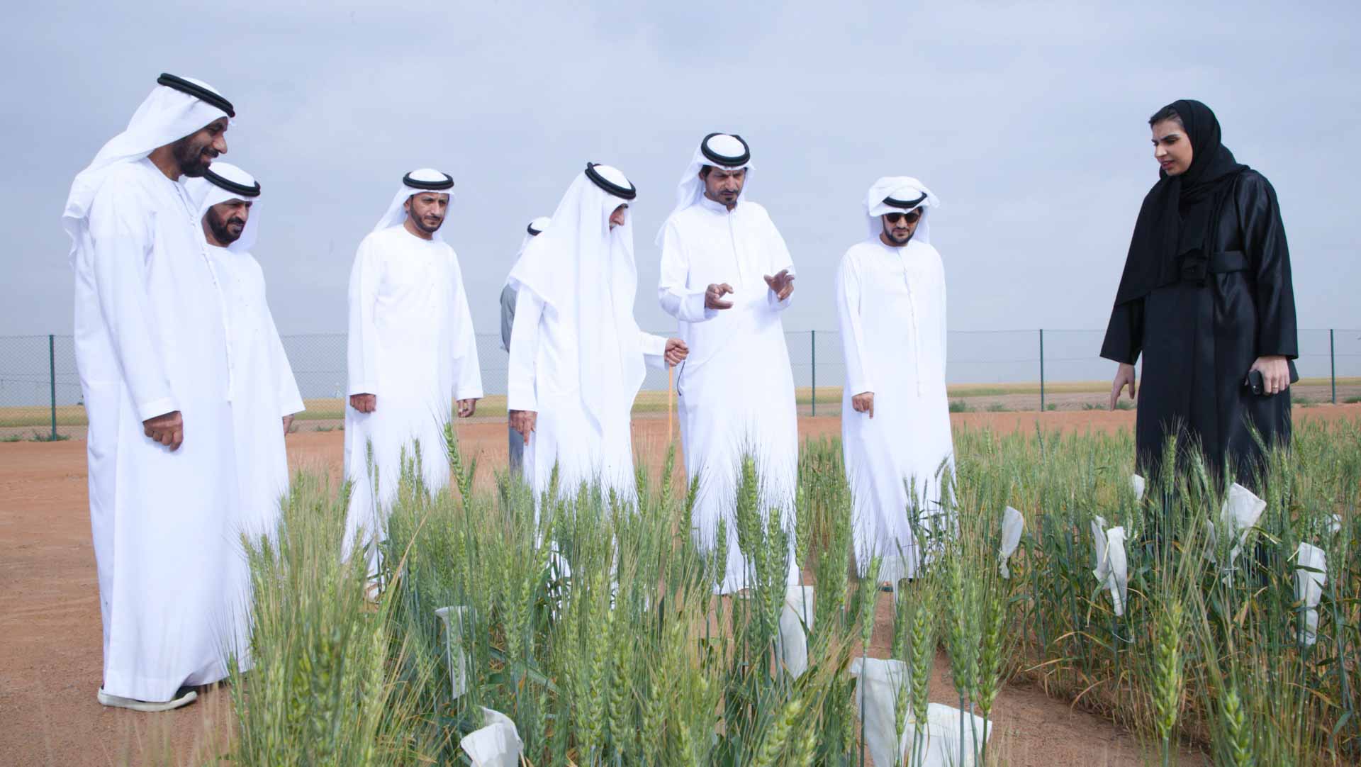 Image for the title: Central Region Student Parents Coun. visits Wheat Farm 