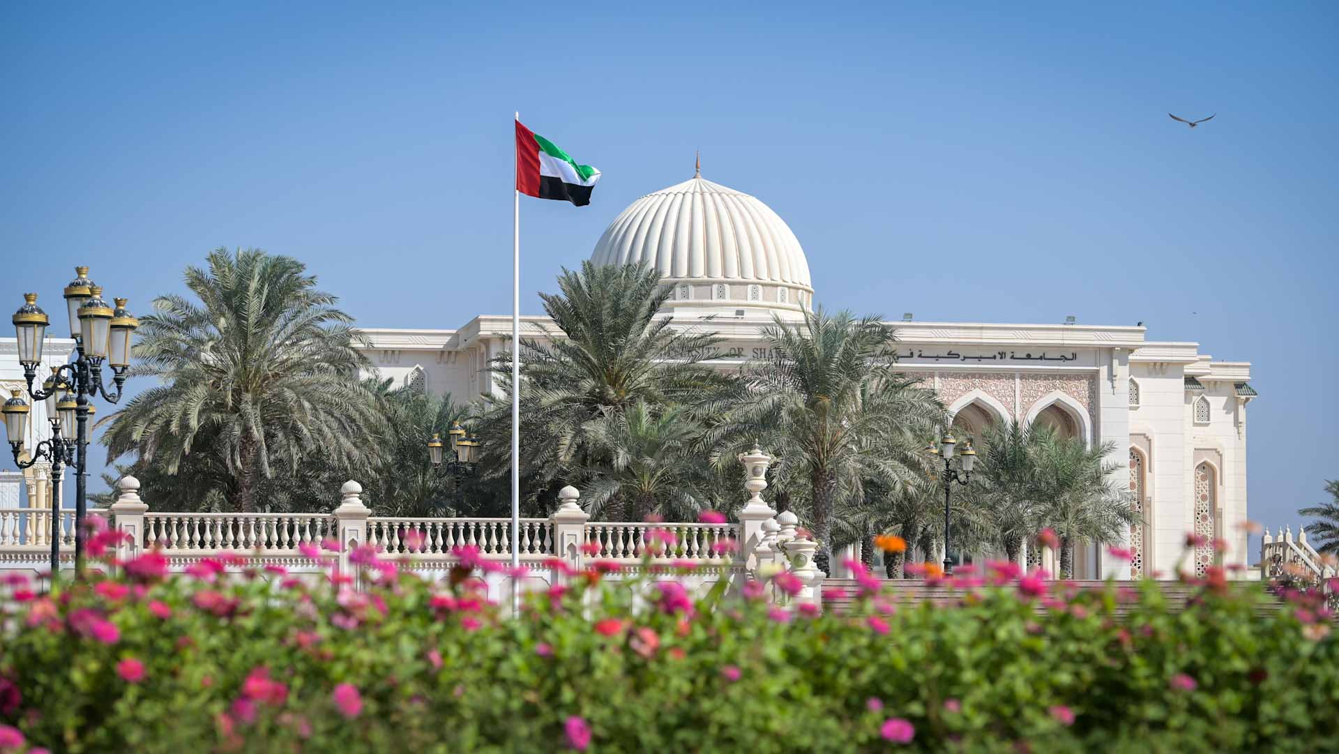 Image for the title: AUS rises to top 150 universities in THE Asia University Rankings 