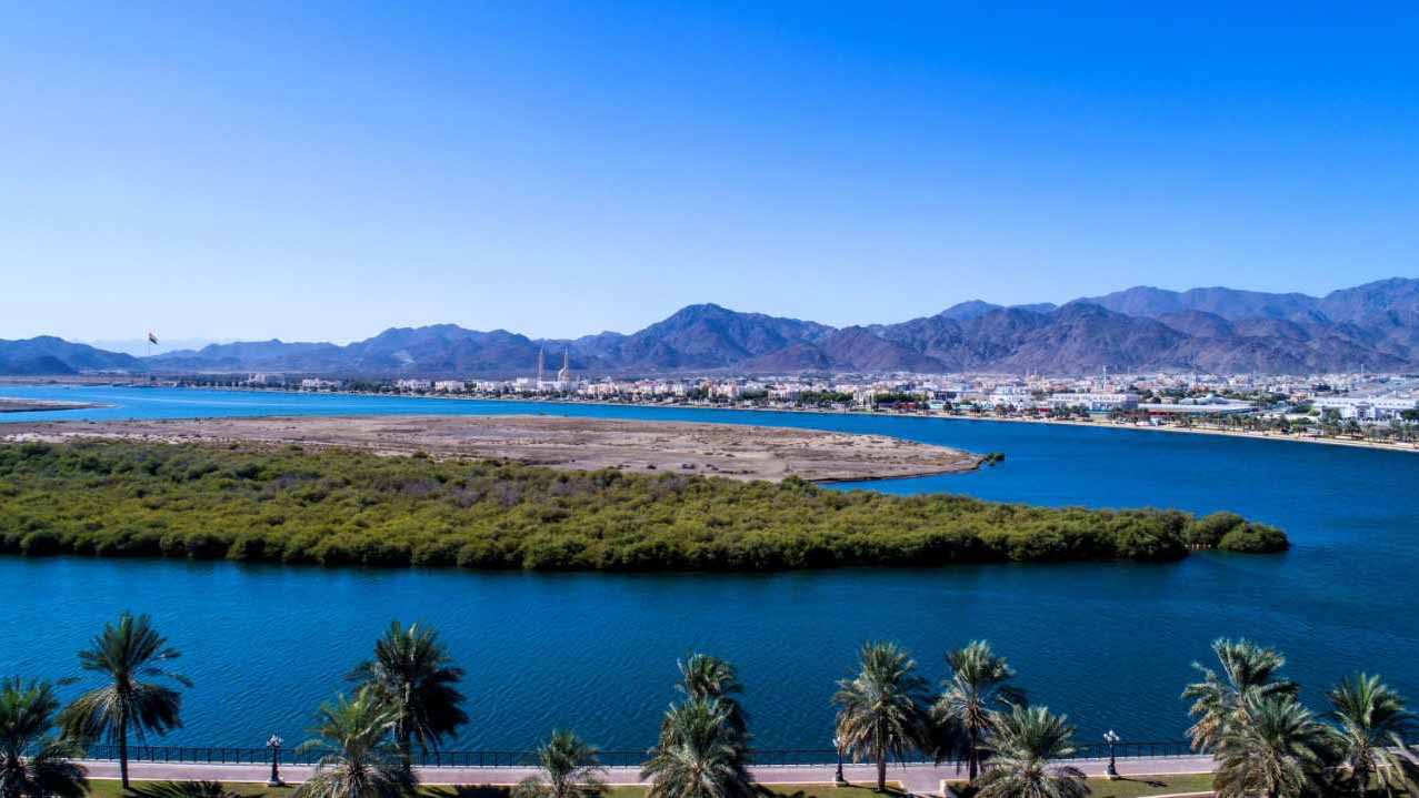 صورة بعنوان: 27جهة تستعرض المقومات السياحية لإمارة الشارقة في"سوق السفر العربي" 