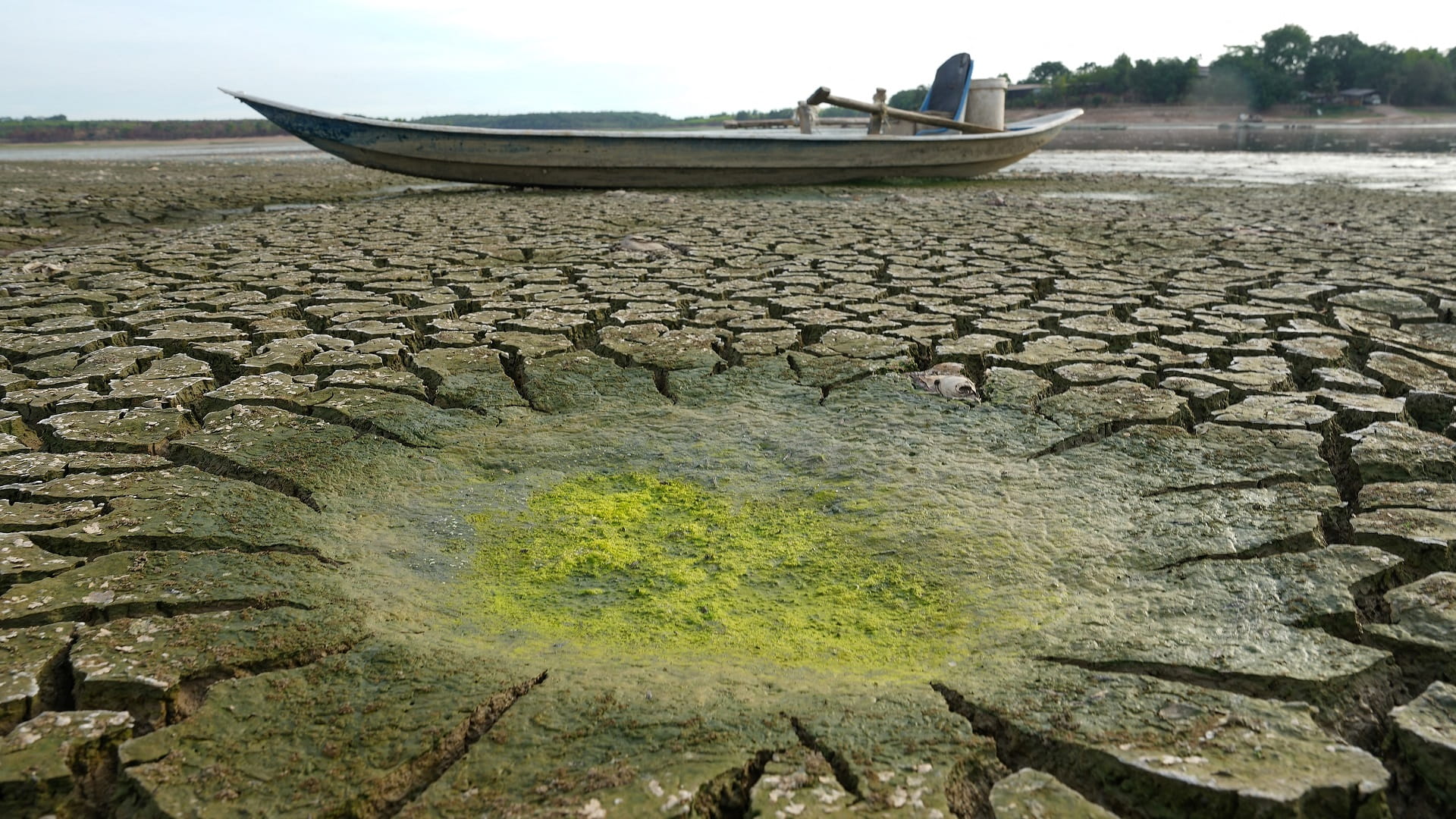 صورة بعنوان: فيتنام تسجّل أكثر من 100 درجة حرارة قياسية في إبريل 