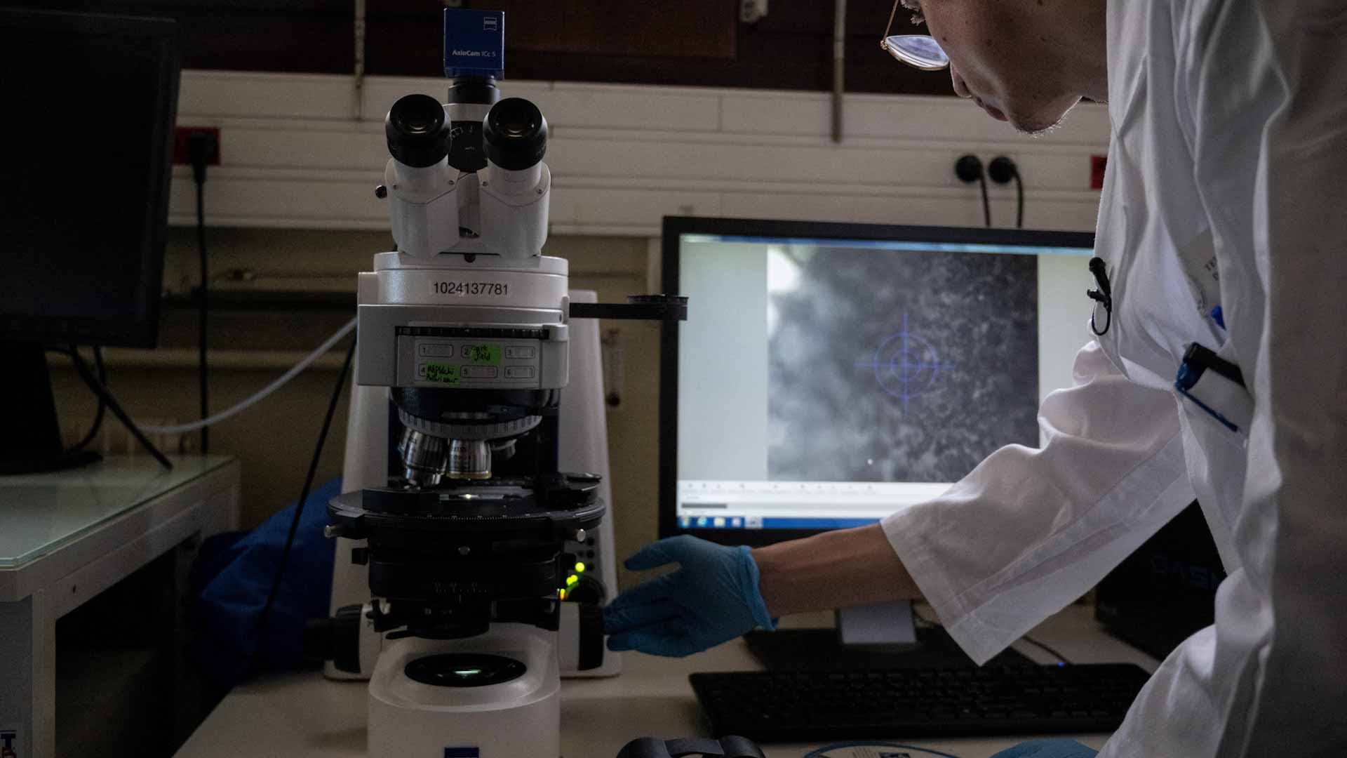 صورة بعنوان: باحثون يكتشفون طفرة جينية نادرة تحمي من السرطان وأمراض القلب 