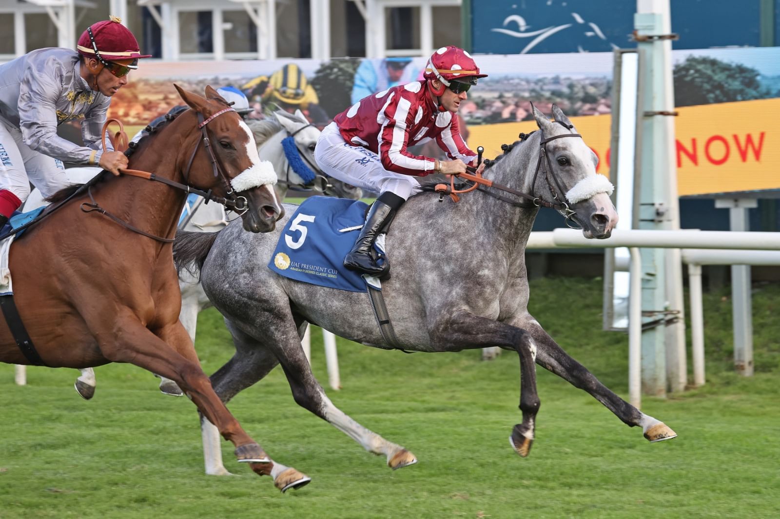 Image for the title: UAE President's Cup World Series 31st Edition Launched 