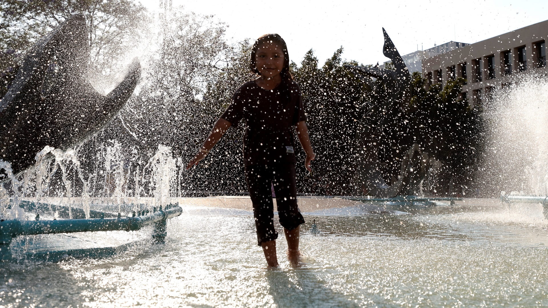 صورة بعنوان: موجة حر بالمكسيك تتسبب في وفاة العشرات 