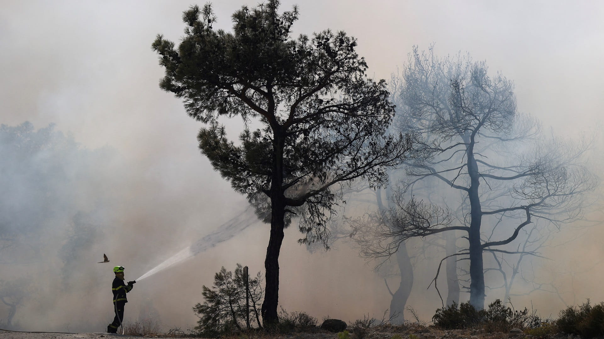صورة بعنوان: دراسة: صيف 2023 الأكثر سخونة منذ 2000 عام 