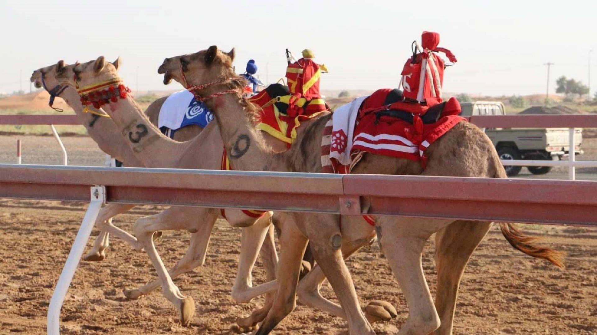 Image for the title: Al Shababi achieves best time in Fatamin Races at Al Dhaid Field