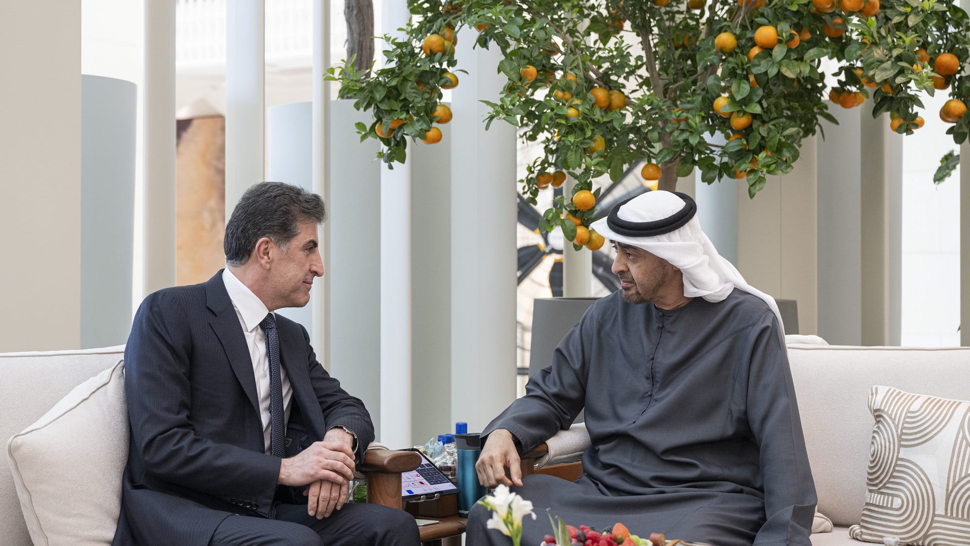 Image for the title: UAE President receives President of Iraq's Kurdistan Region 