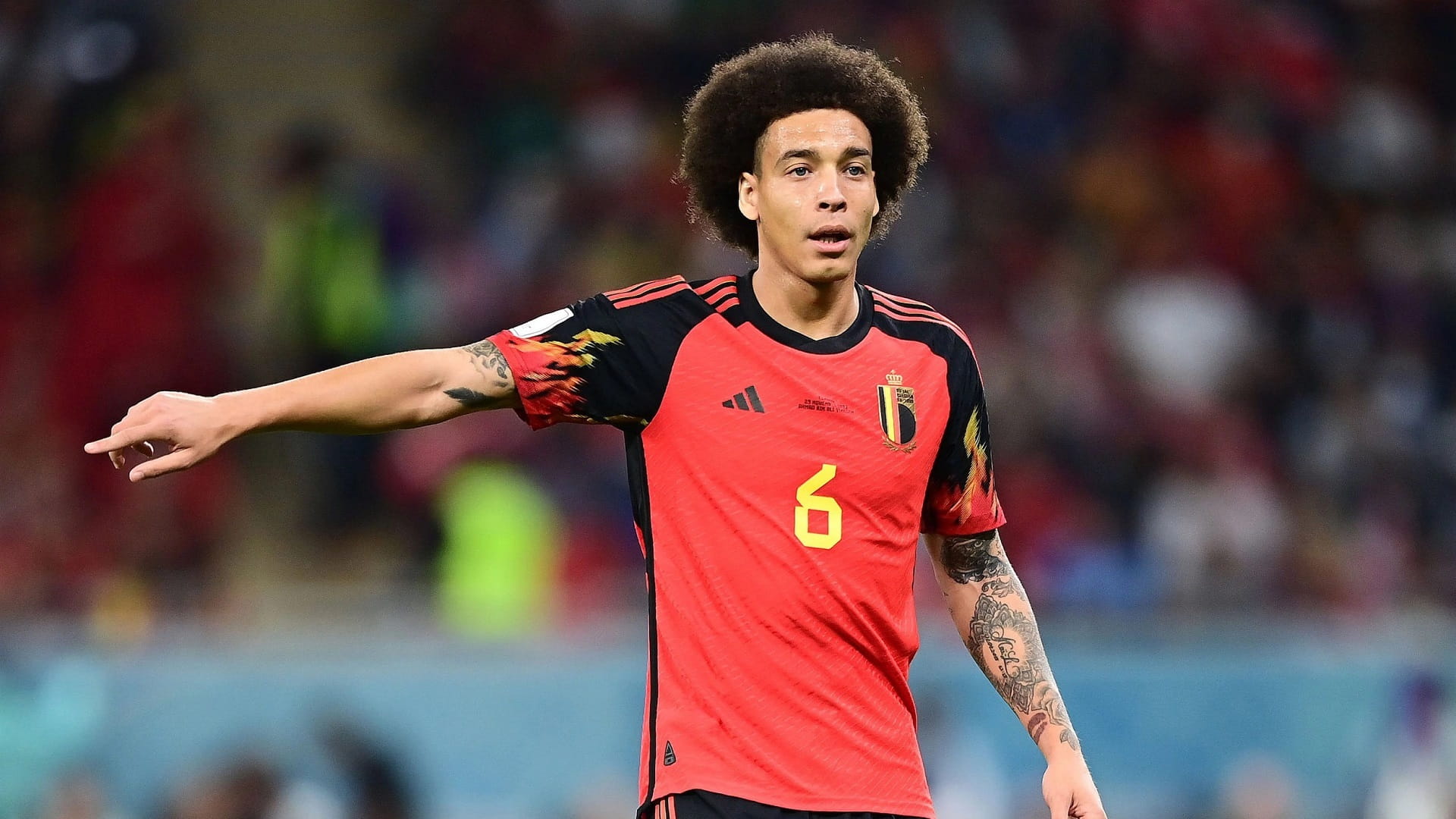 صورة بعنوان: المخضرم فيتسل يعود لقائمة بلجيكا في يورو 2024 