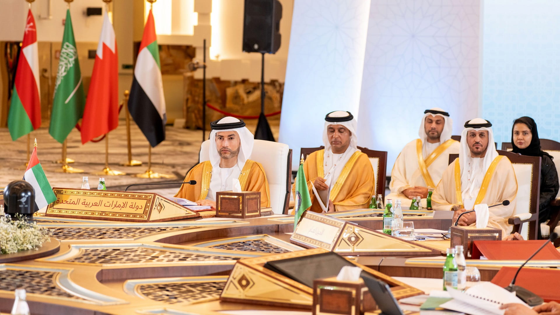 صورة بعنوان: الإمارات تشارك باجتماع اللجنة المالية والاقتصادية في مجلس التعاون 