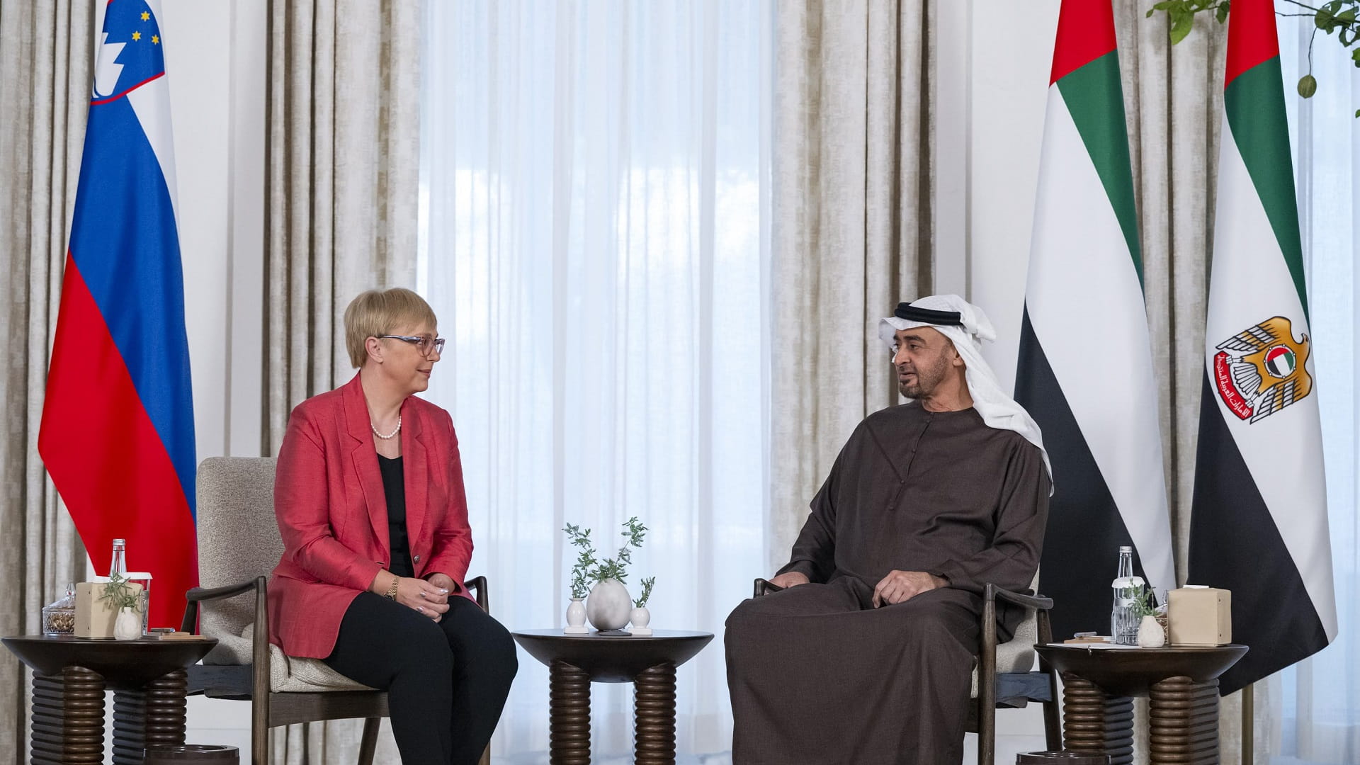 UAE and Slovenian Presidents discuss bilateral cooperation 