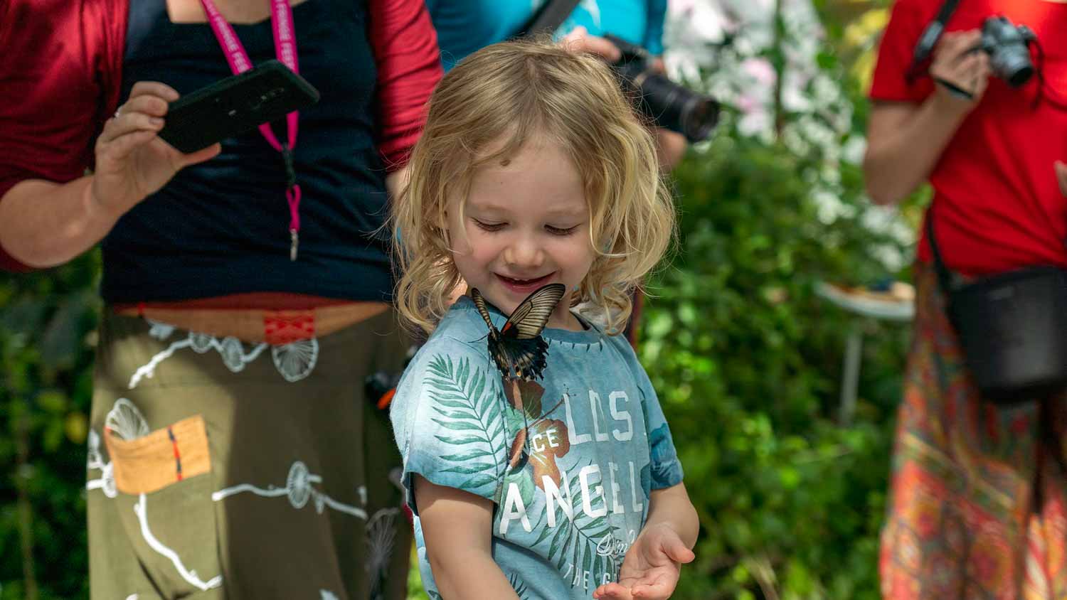 Al Noor Island: A Must-Visit Oasis During Your SIBF Experience 