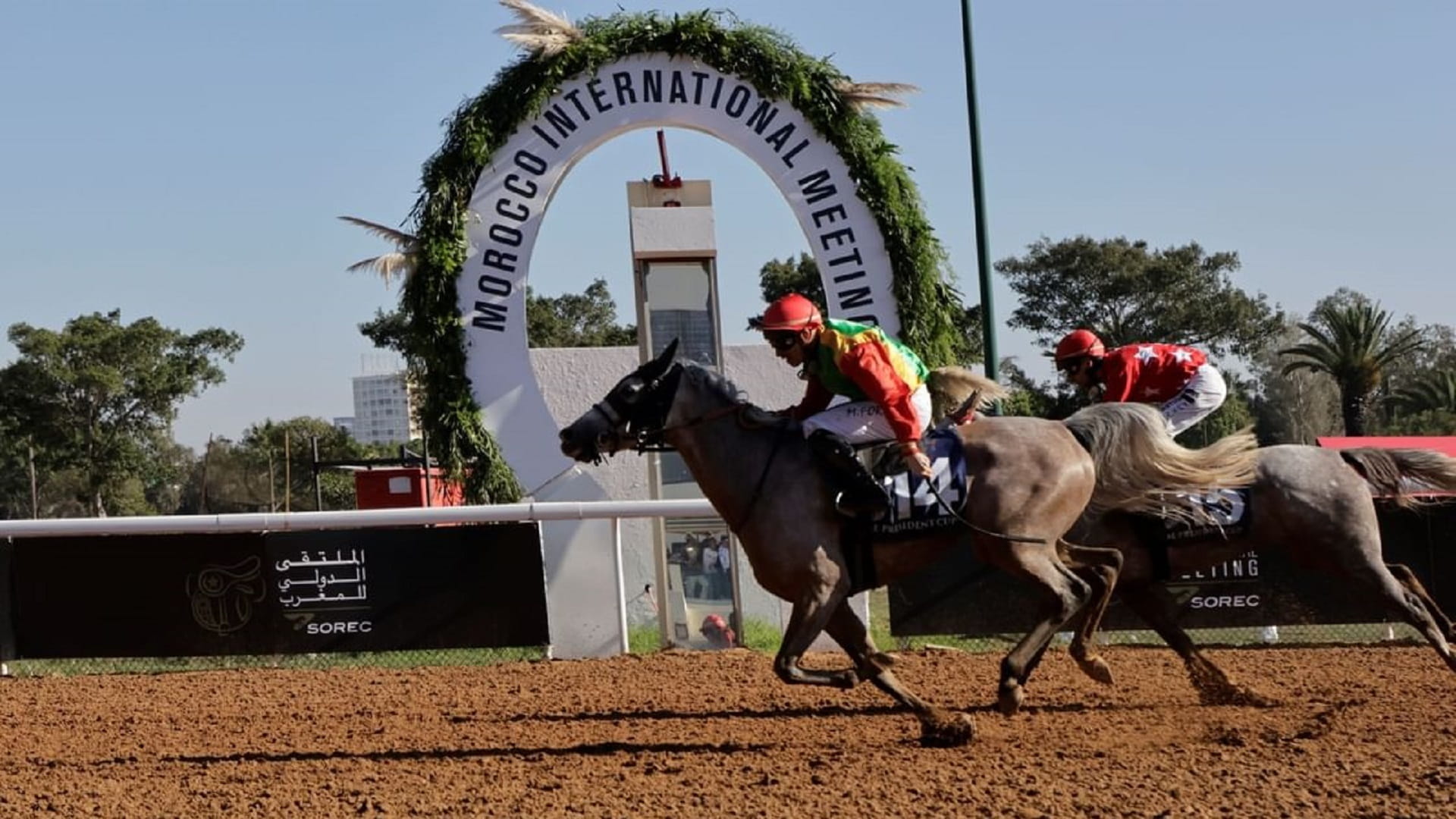 Morocco hosts 13th leg of UAE President’s Cup for Arabian Horses 