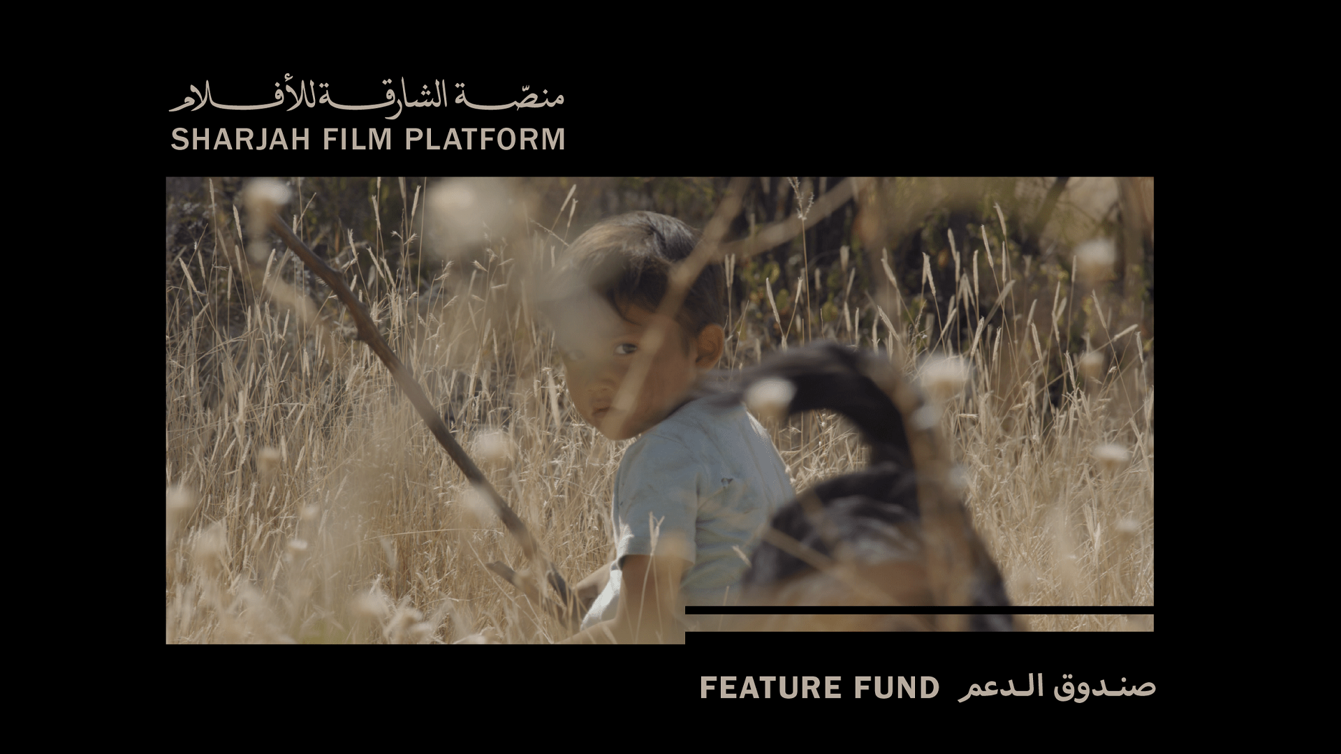 مؤسسة الشارقة للفنون تعلن عن الدعوة المفتوحة لمنحة "صندوق الدعم" 