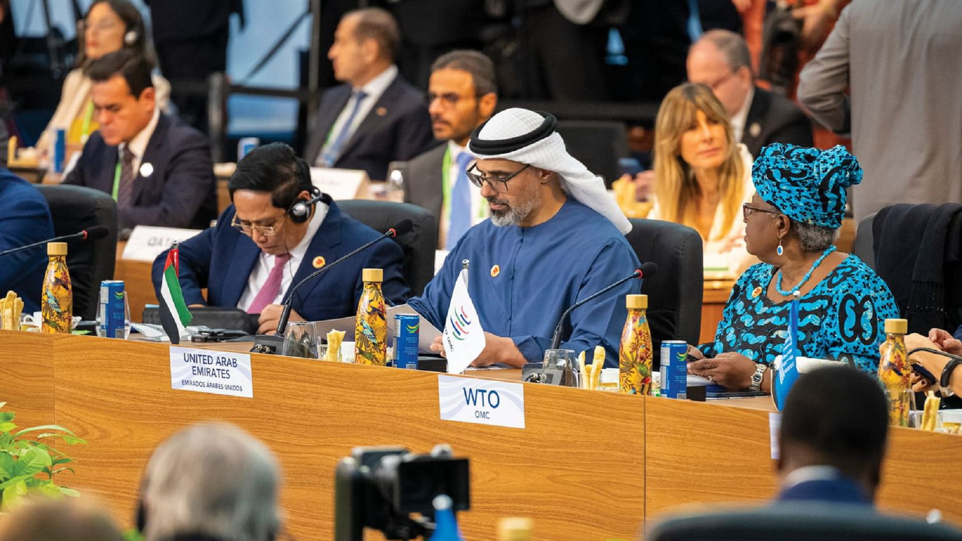 Abu Dhabi CP delivers UAE address at 19th G20 Summit
