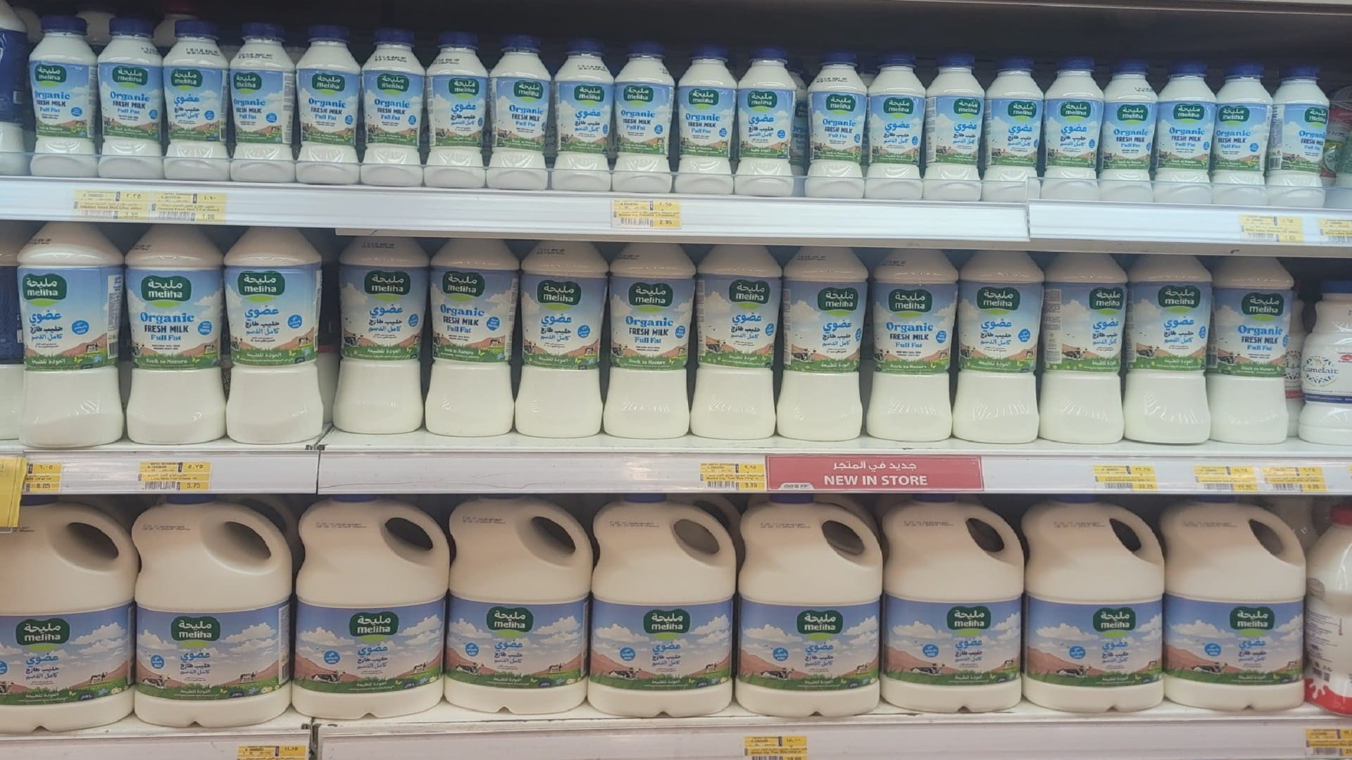 UAE food security system achieves remarkable successes