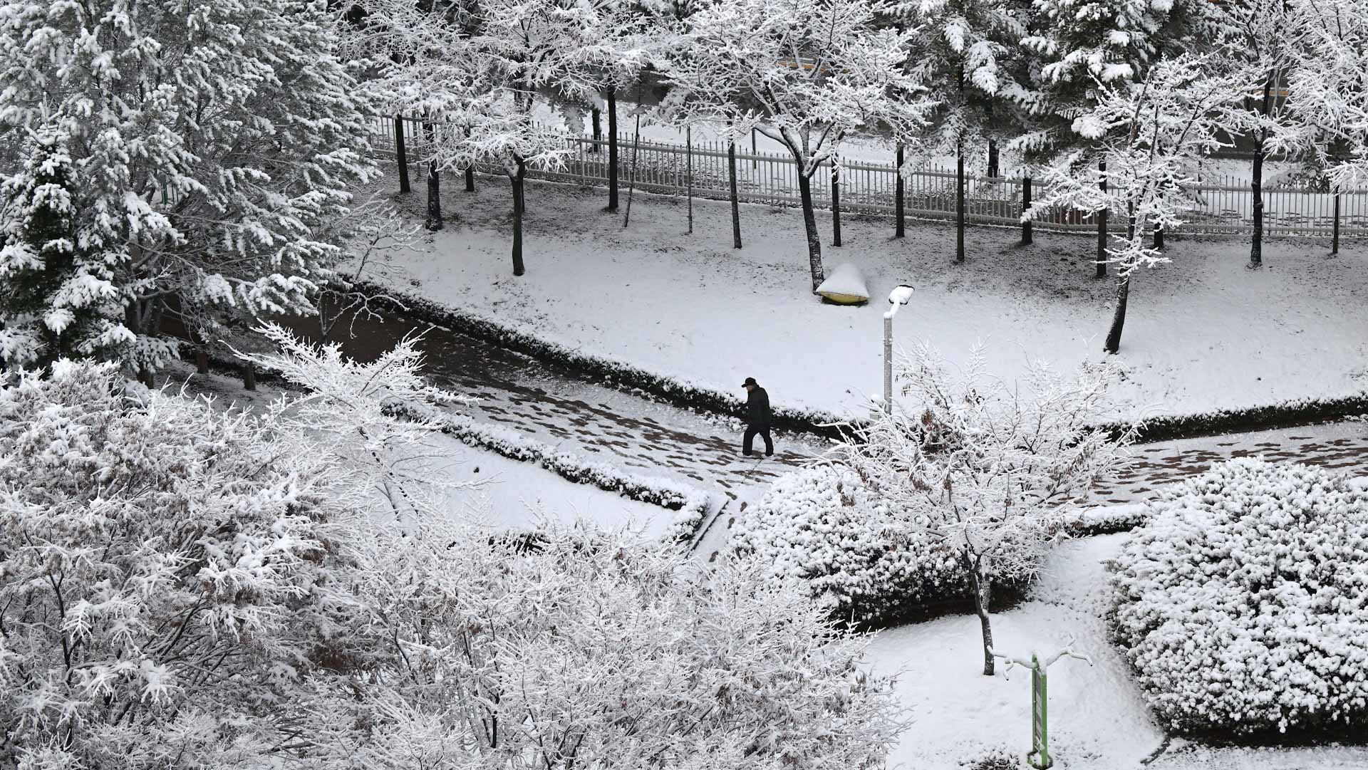 Image for the title: Severe snowfall claims three lives in South Korea 