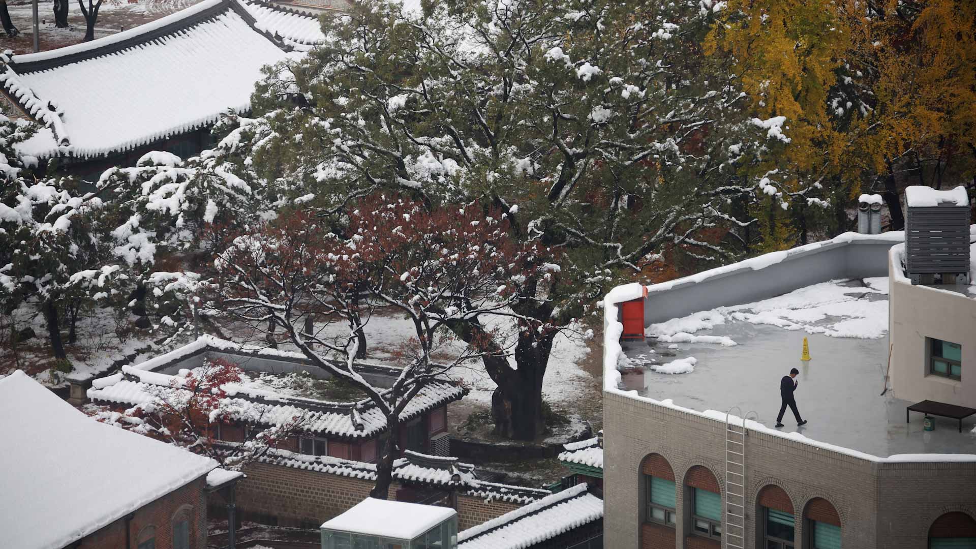 لليوم الثاني.. ثلوج كثيفة تجتاح كوريا الجنوبية وتتسبب في وفاة 4  