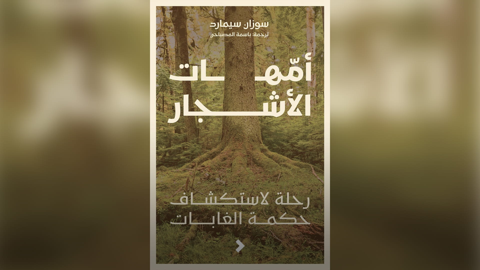"أمهات الأشجار".. جديد "كلمات" ودعوة لتأمل جمال وتعقيد الطبيعة 