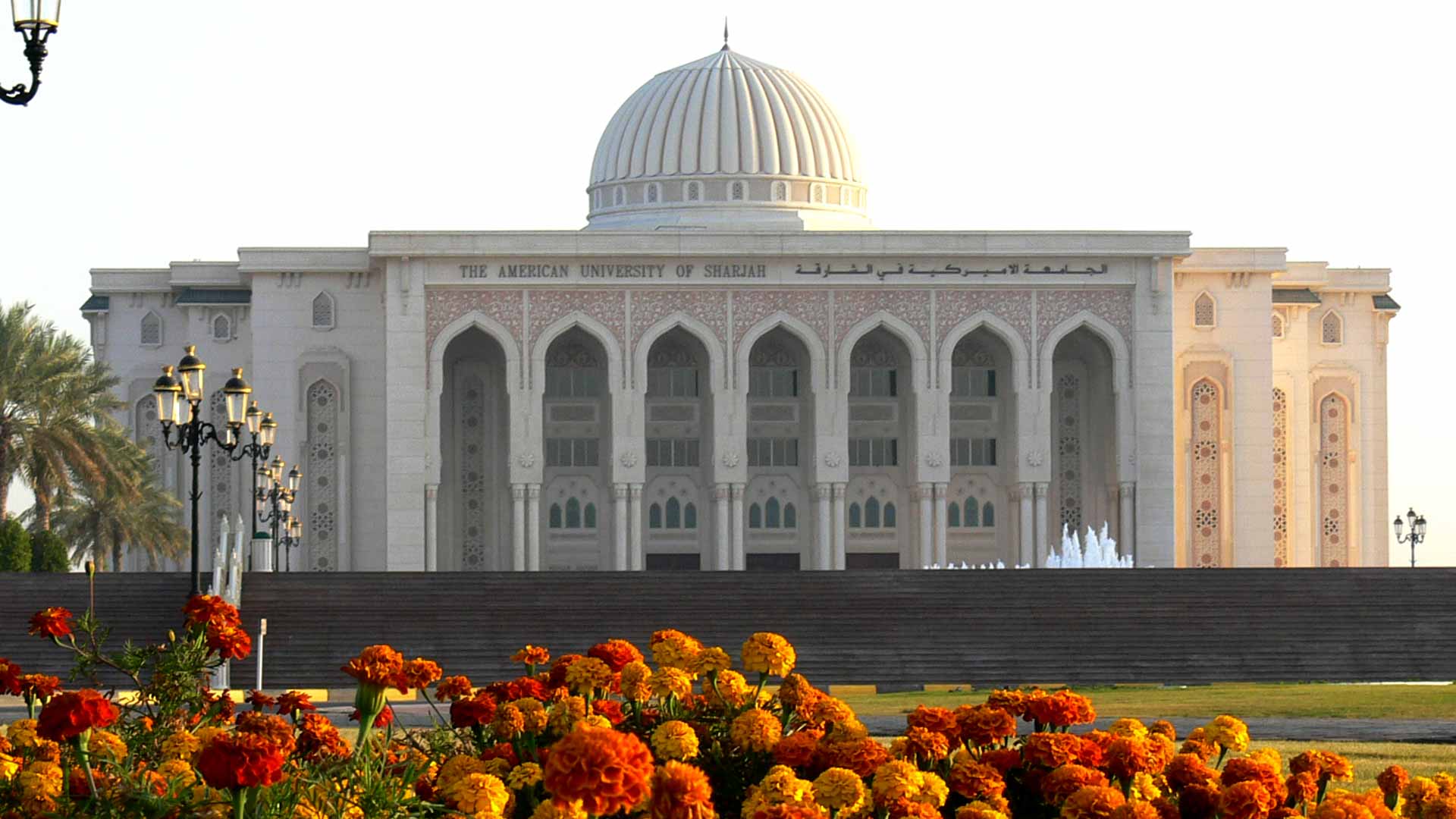 باحثو "أميركية الشارقة" ضمن قائمة أفضل 2% من علماء العالم 