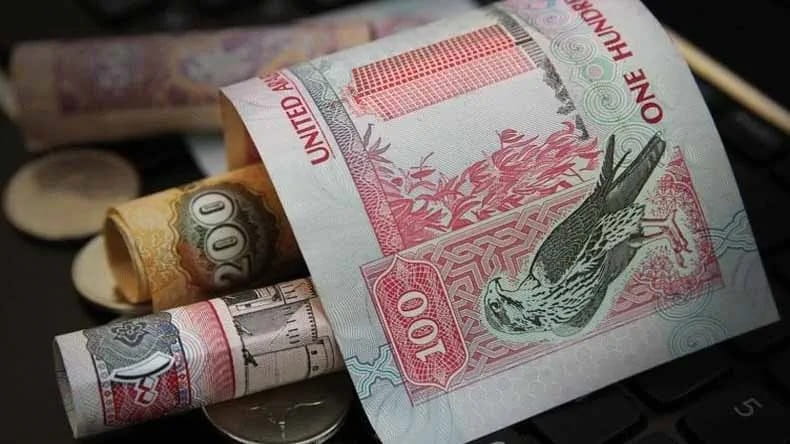 UAE accounts for 47.3% of Arab exchange companies: AMF 