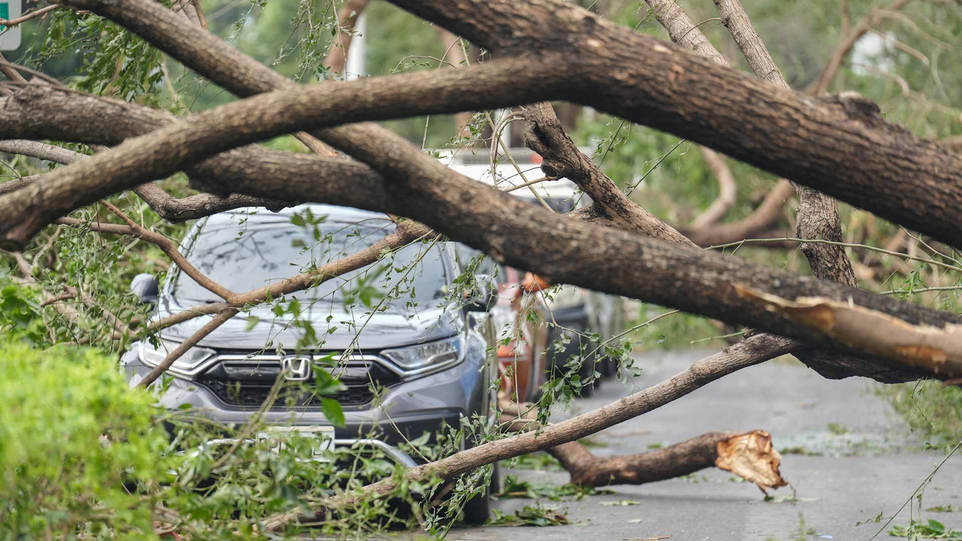 Taiwan cleans up after Typhoon Krathon batters south 