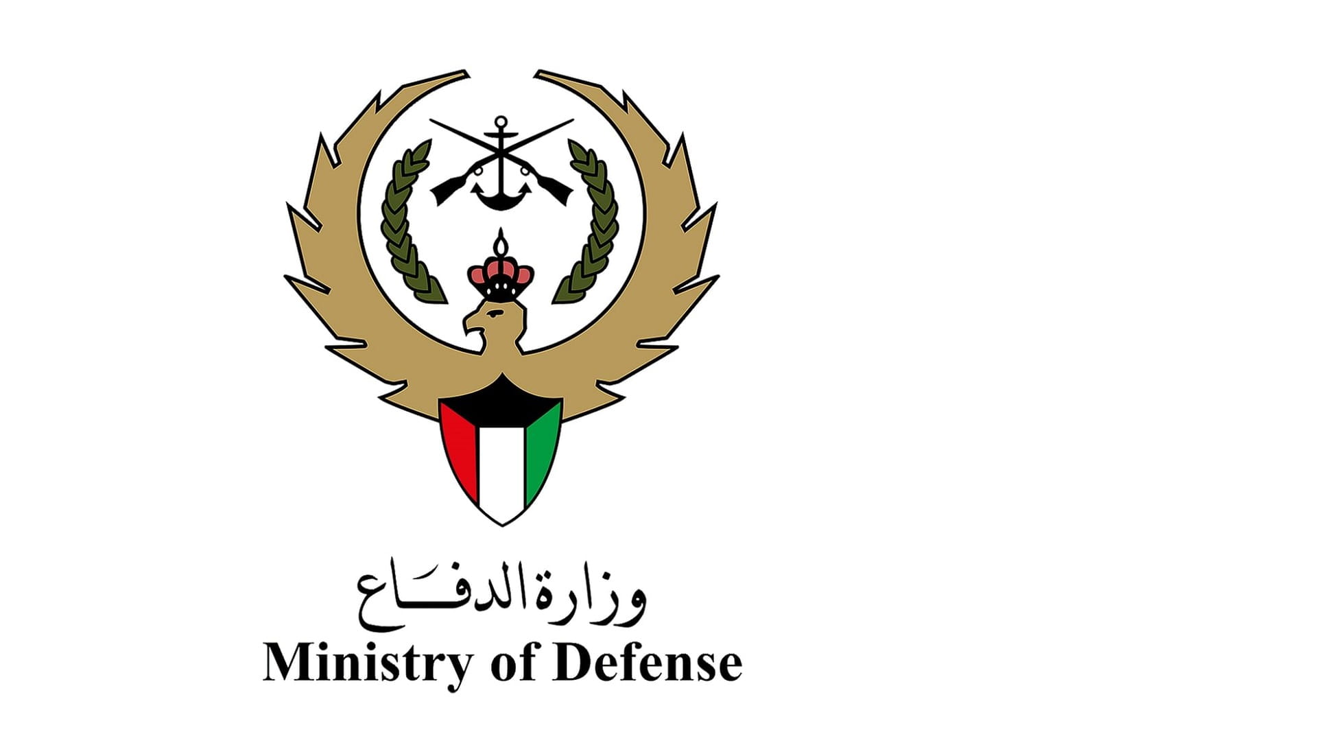 وزارة الدفاع الكويتية تعلن سقوط طائرة مقاتلة واستشهاد قائدها 