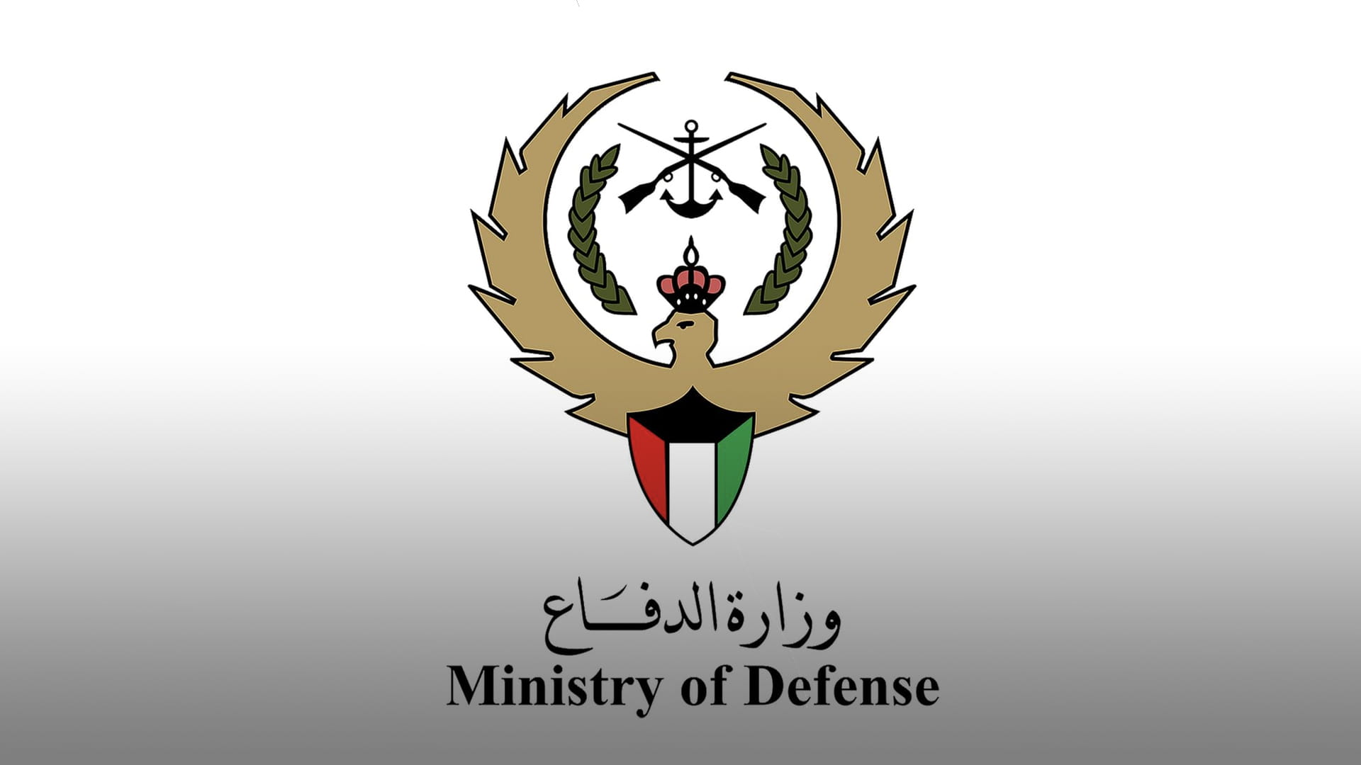 Kuwait Ministry of Defence: Crash of fighter jet during training 