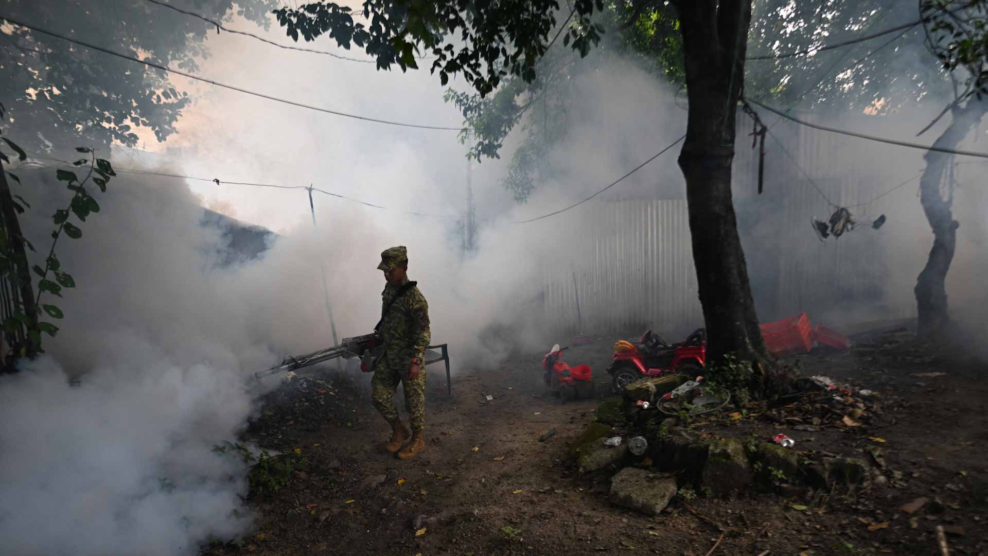  في السلفادور..وزارة الصحة تلجأ للمبيدات لكبح انتشار حمى الضنك 