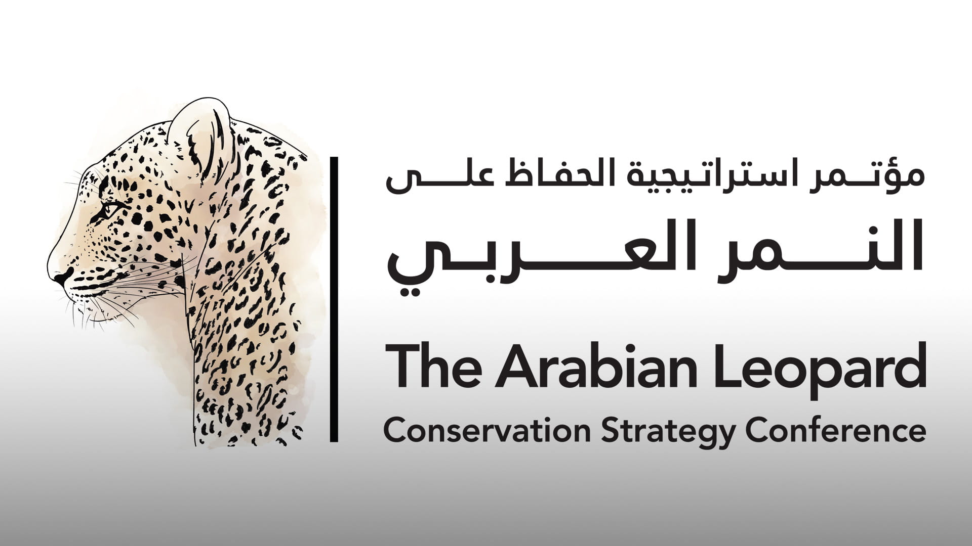 Arabian Leopard Conservation Strategy Conference kicks off Monday 