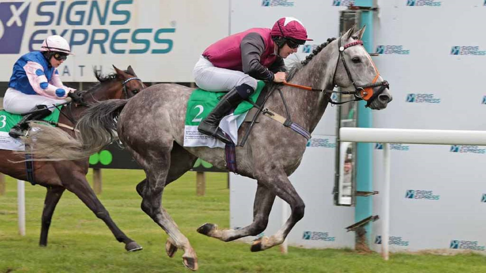 5 خيول تتنافس على لقب كأس الوثبة بمضمار باث الإنجليزي غداً 