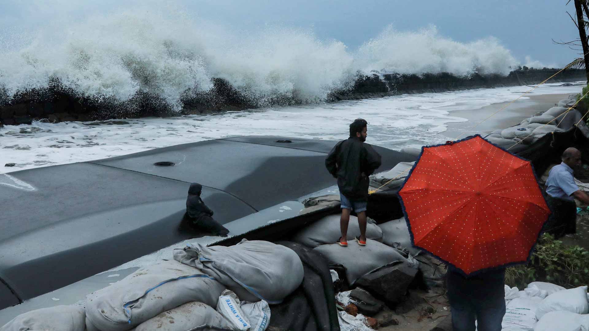 الإعصار دانا يقتلع الأشجار ويقطع الكهرباء عن الساحل الشرقي للهند 