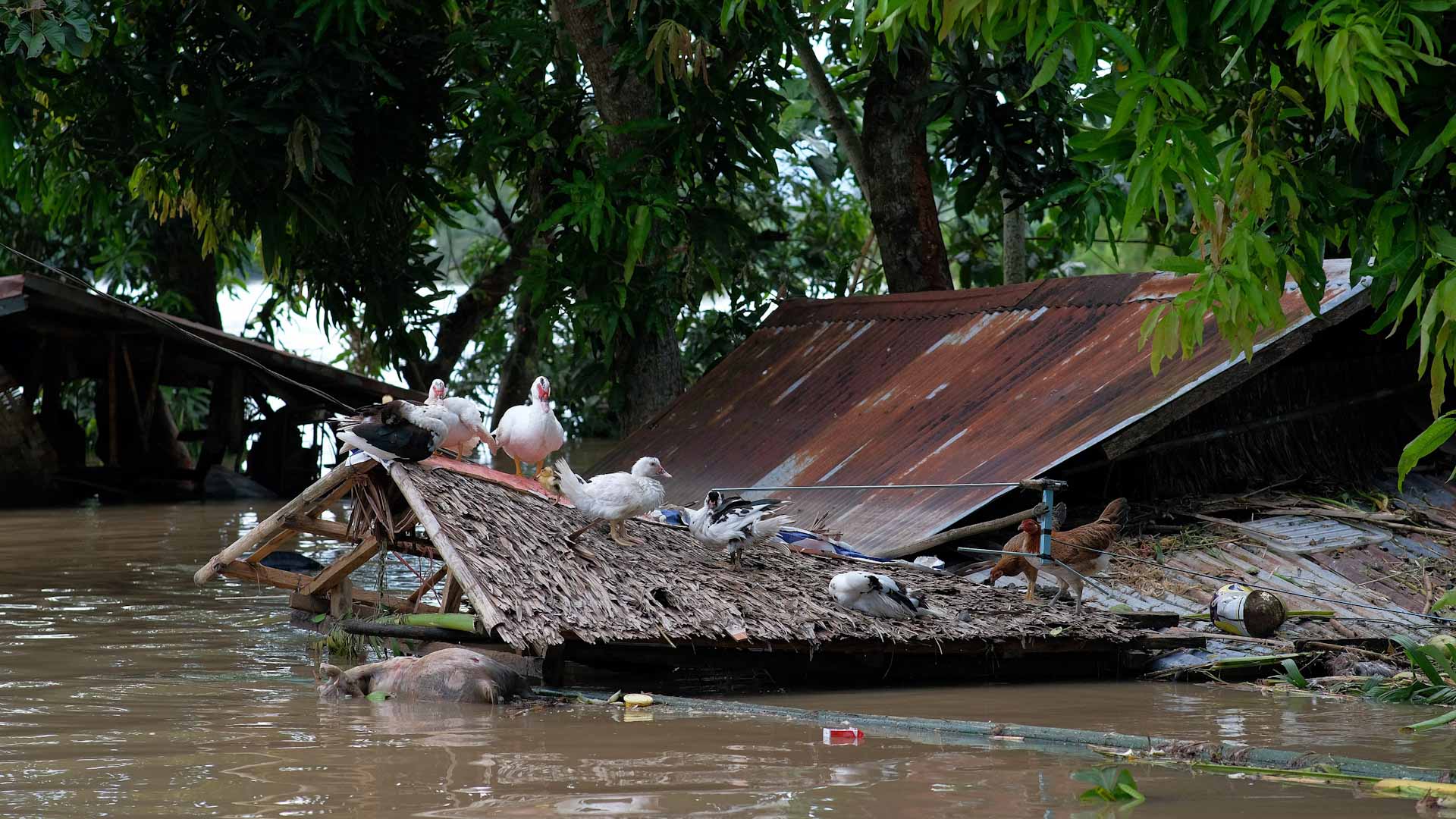 في الفلبين.. حصيلة ضحايا العاصفة "ترامي" ترتفع إلى 125 قتيلًا