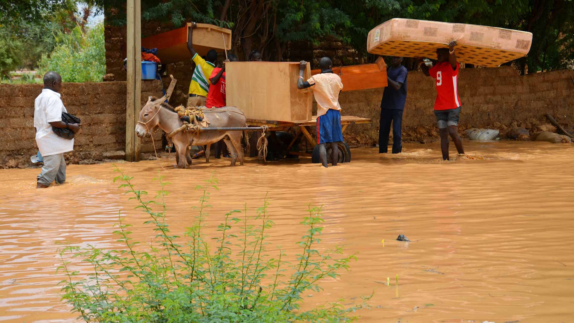 النيجر: مقتل 15 شخصاً جراء الأمطار الغزيرة في مدينة مارادي 