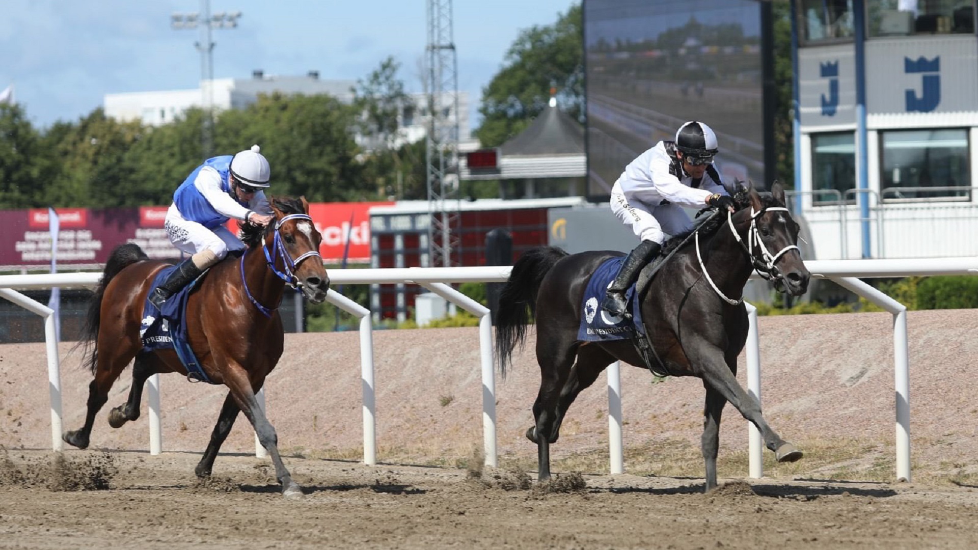 Türkiye hosts 10th UAE President Cup for Purebred Arabians Sunday 