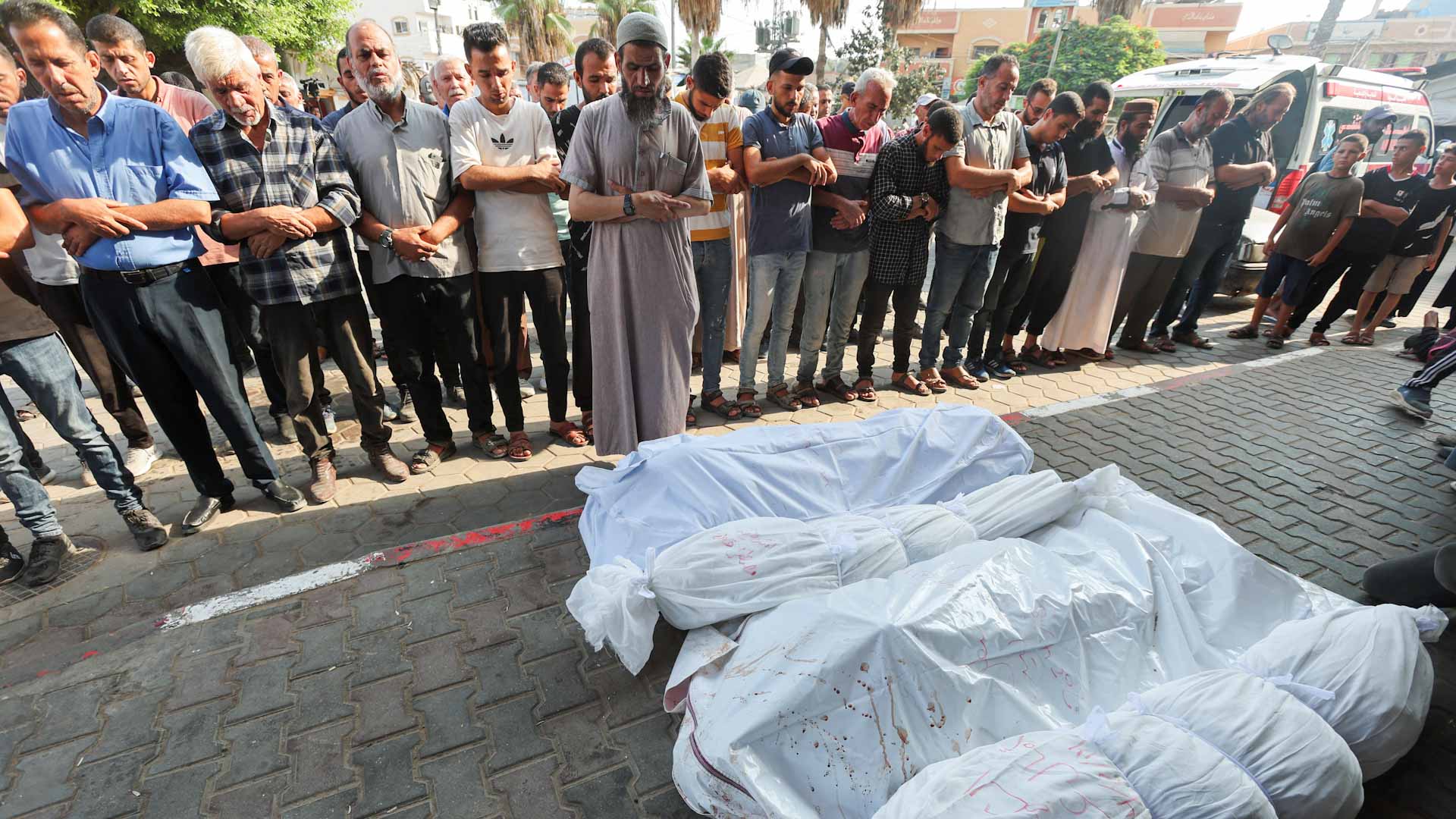 القصف الإسرائيلي المتواصل على غزة يقتل 40972 فلسطينياً منذ7 أكتوبر 