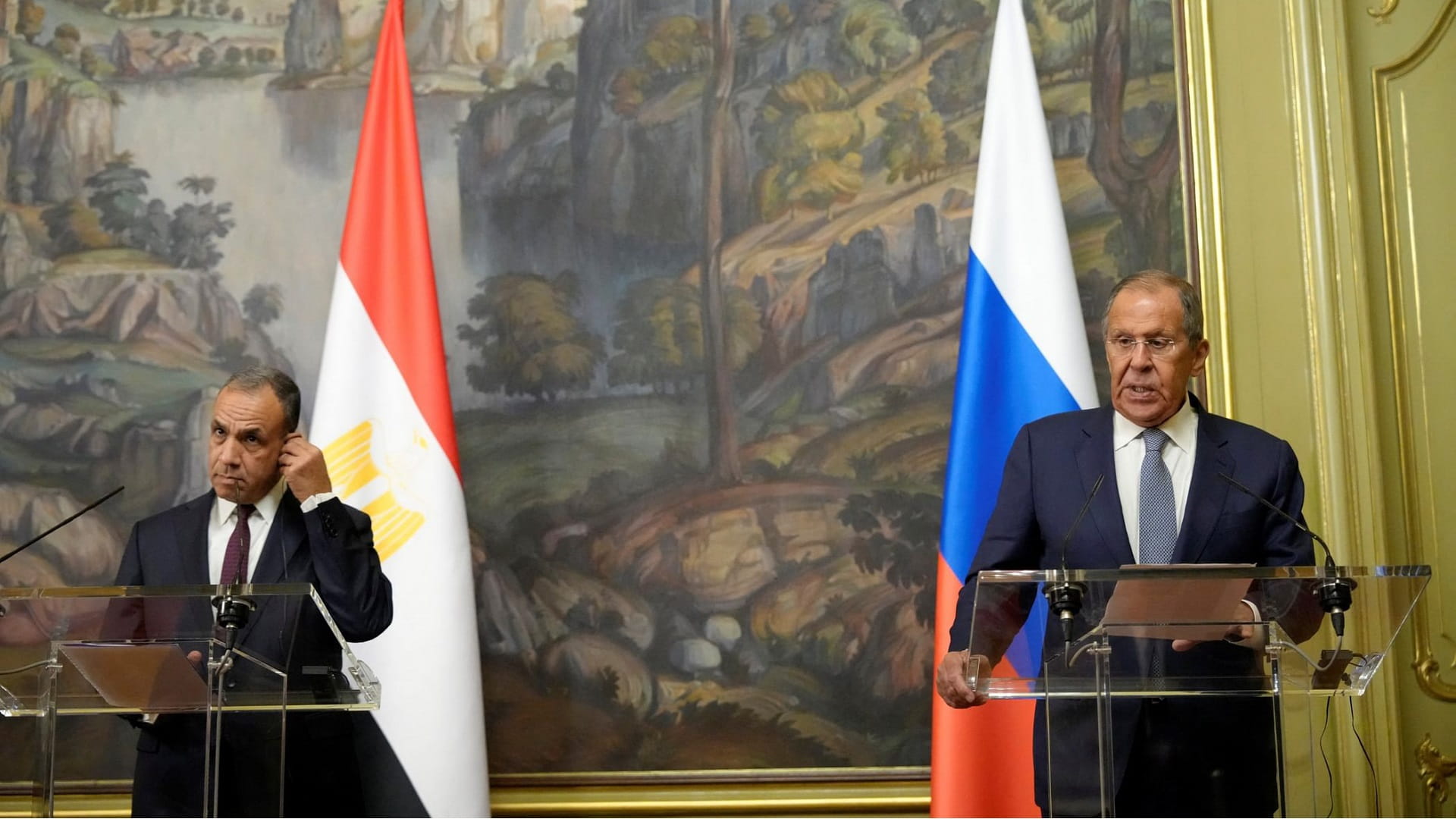 Egypt, Russia call for immediate ceasefire in Gaza