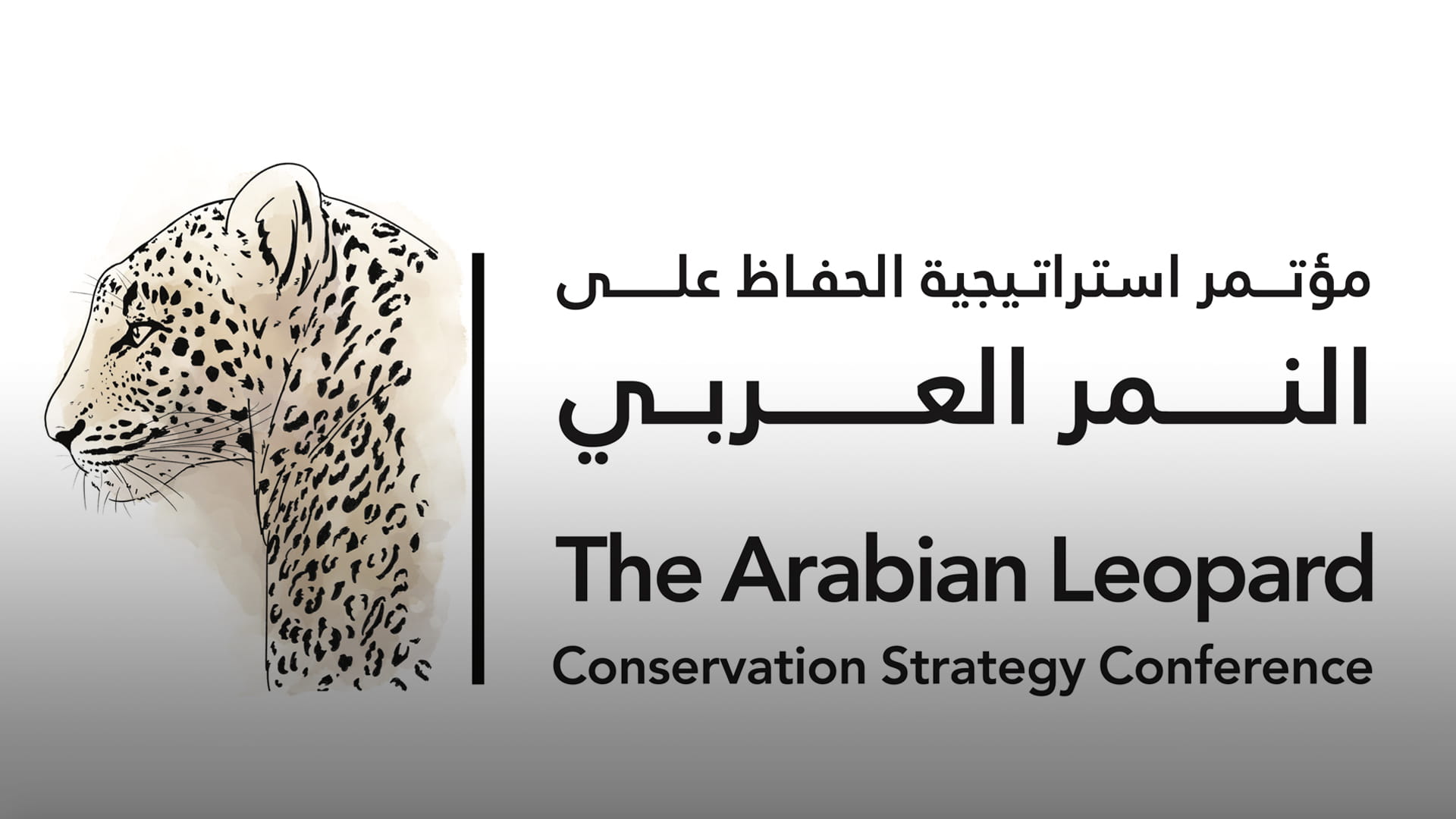 EPAA to organise Arabian Leopard Conservation Strategy conference