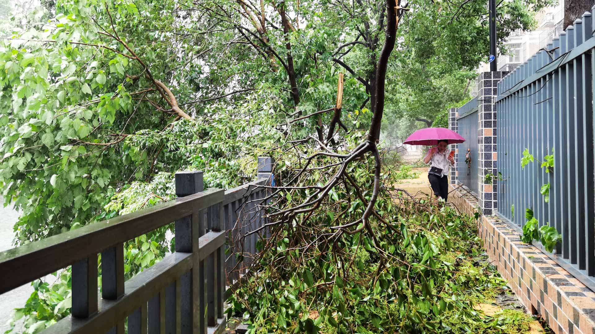 بعد أيام من العاصفة التاريخية.. "بولاسان" يضرب شنغهاي الصينية 