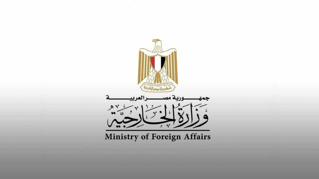 Egypt calls for immediate ceasefire in Gaza