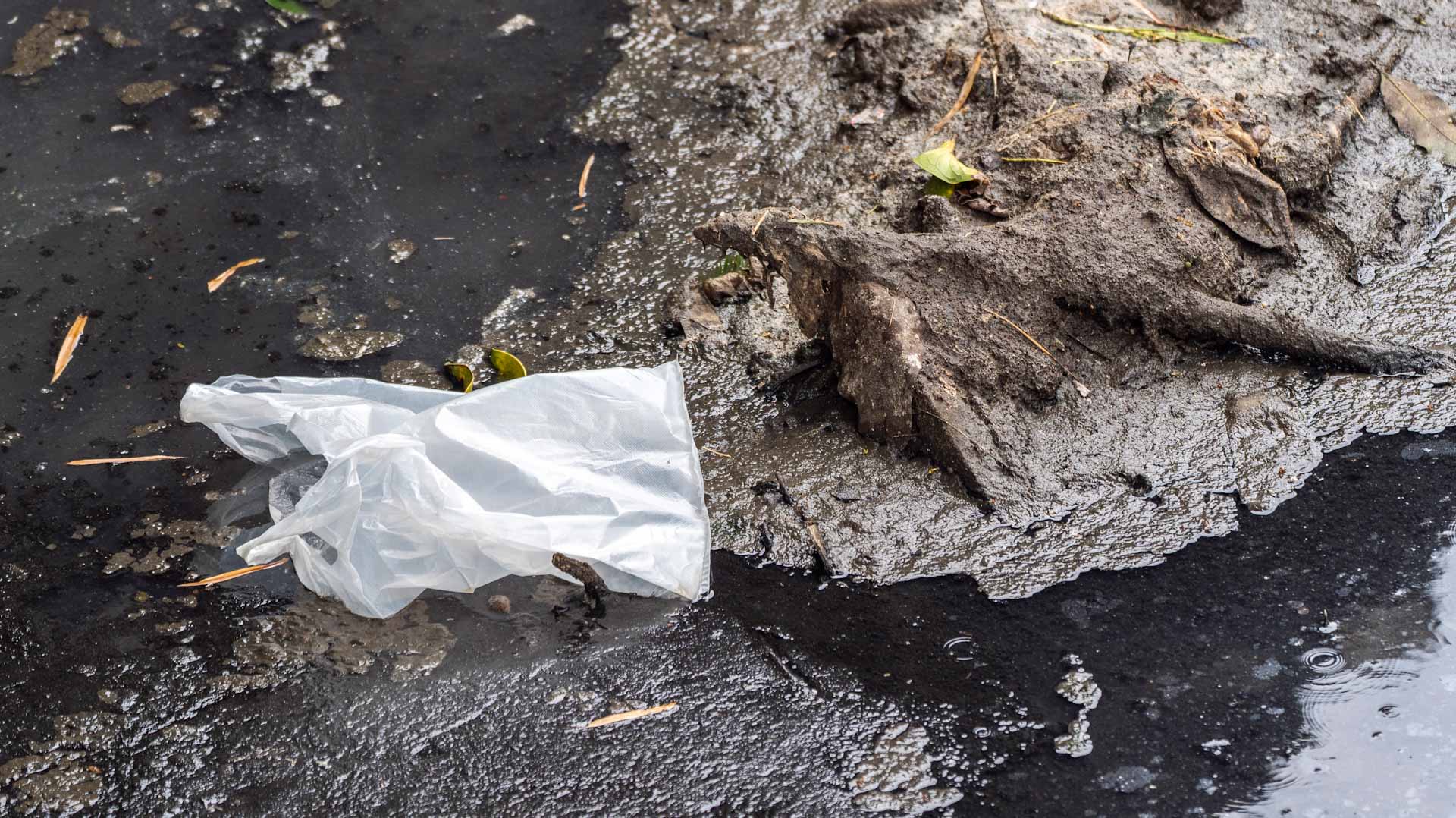 'Convergence' growing on global plastics treaty 