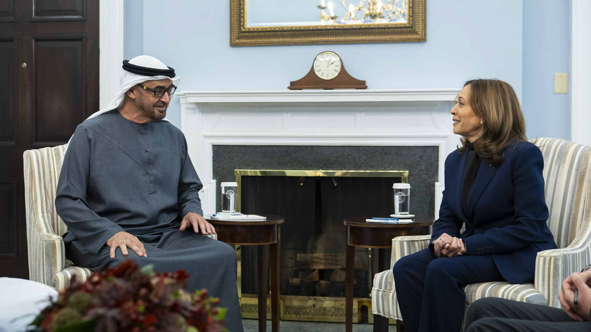 UAE President, US Vice President explore ways to enhance relations 