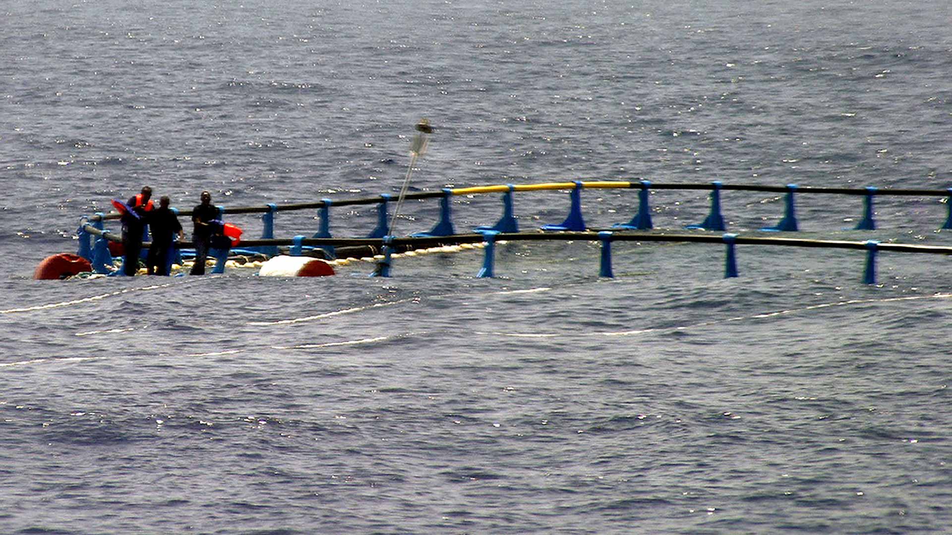 قرب شواطئ تونس.. خفر السواحل ينتشل جثث 13 مهاجراً إفريقيا متحللة 