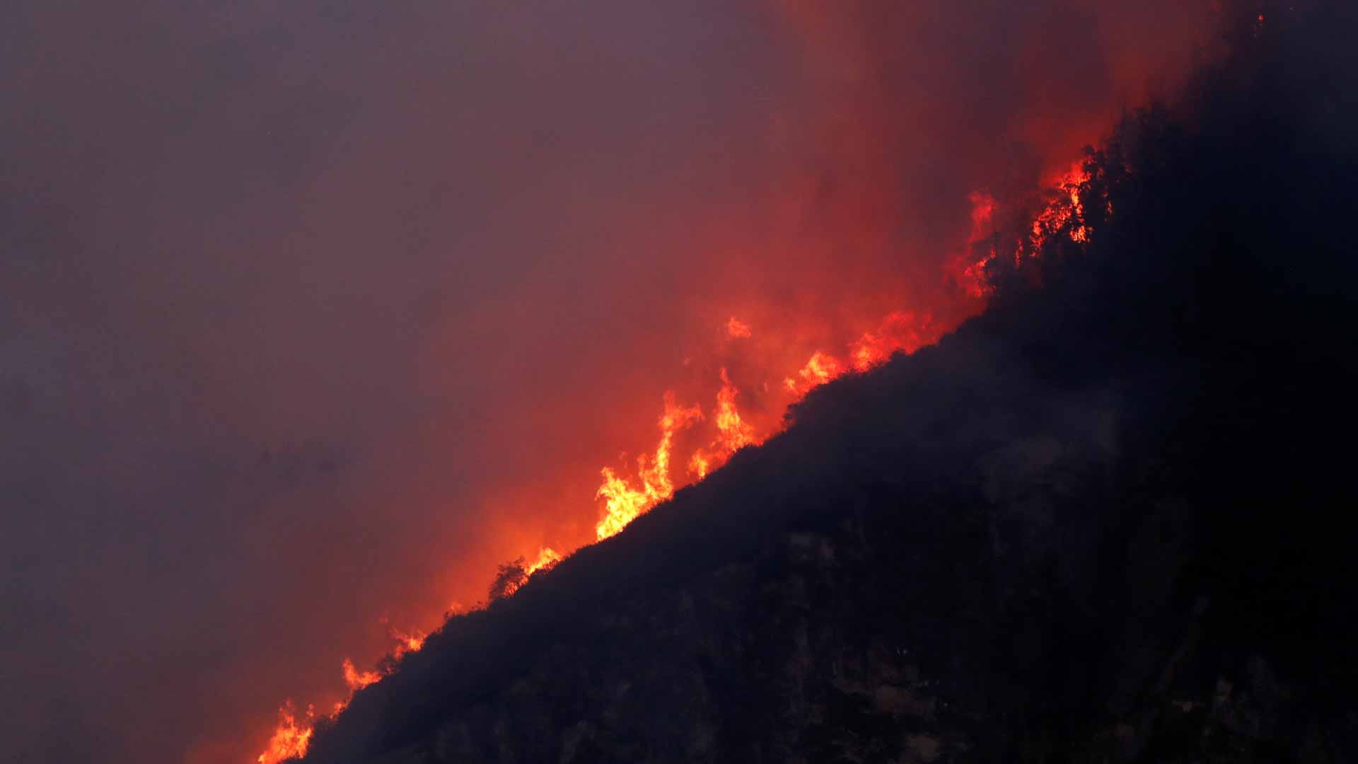 وسط استمرار حرائق الغابات..الإكوادور تعلن حالة الطوارئ في كيتو 