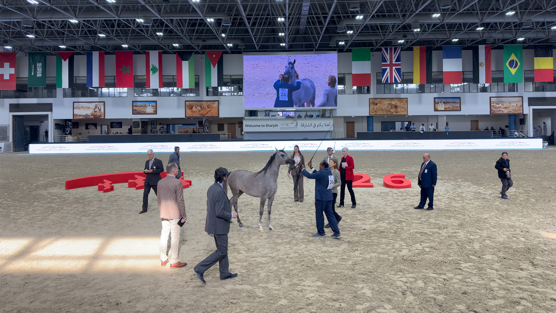 250+ Arabian horses partake in Sharjah Horse Festival 