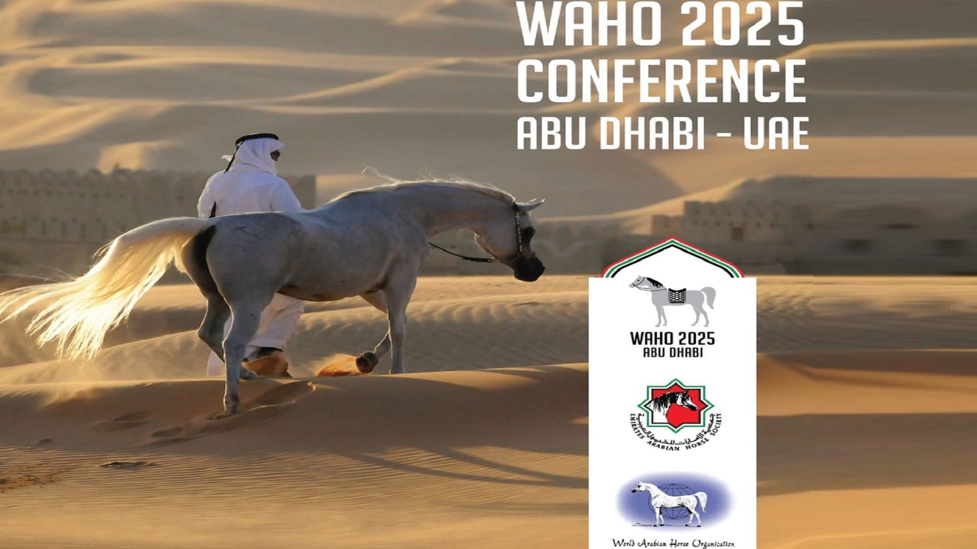 أبوظبي تستضيف مؤتمر المنظمة العالمية للجواد العربي "الواهو" 