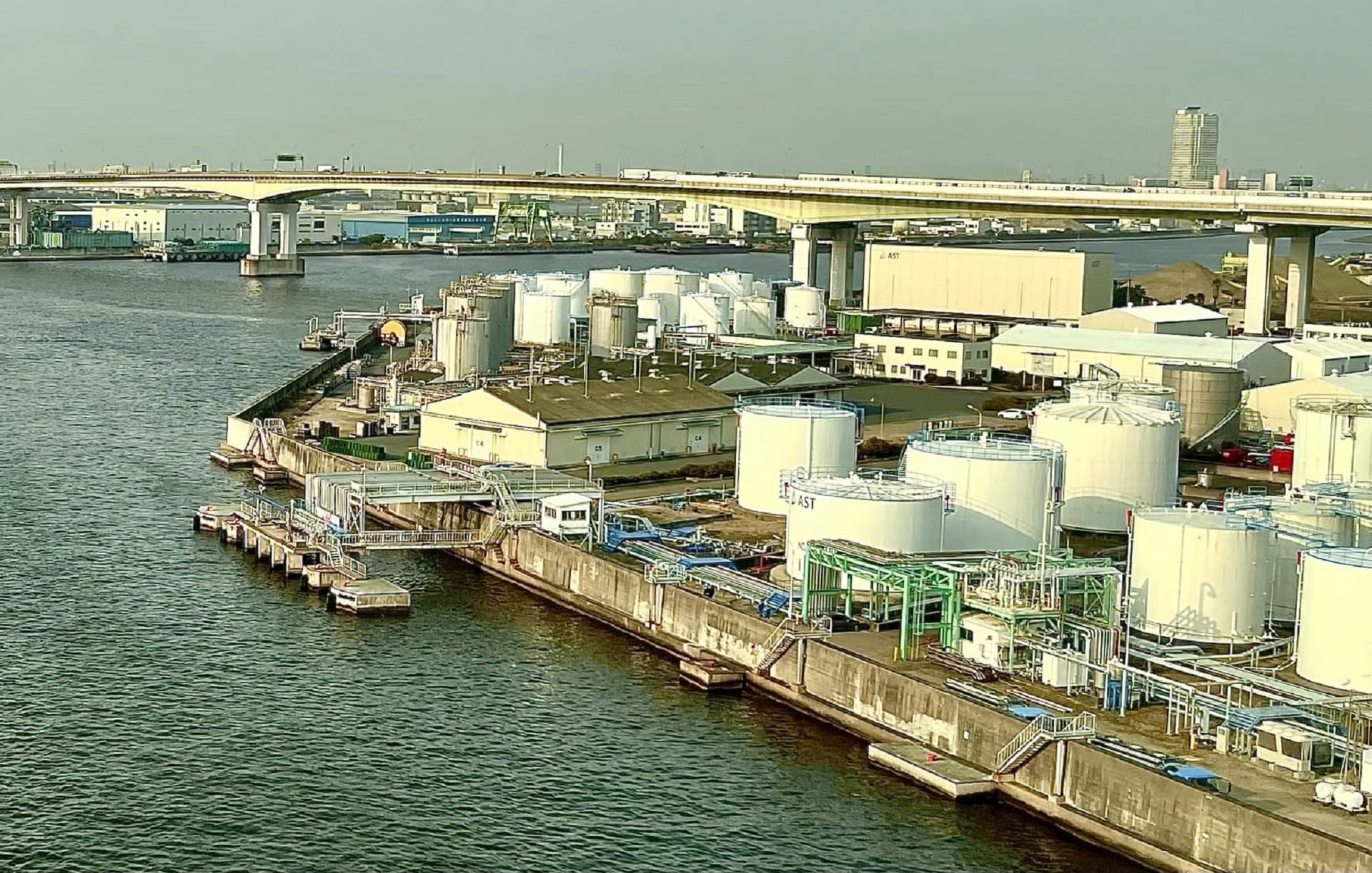 UAE supplies Japan with 38.4% of oil imports in February 2025 