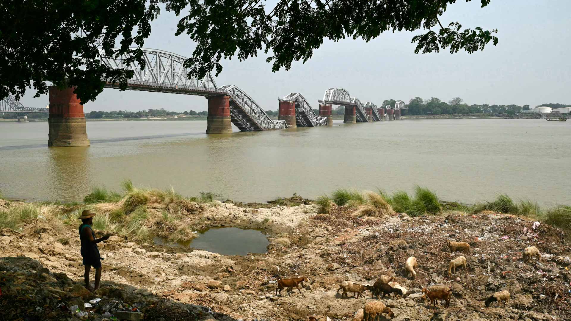 Rain slows aid as Myanmar quake toll nears 3,500 