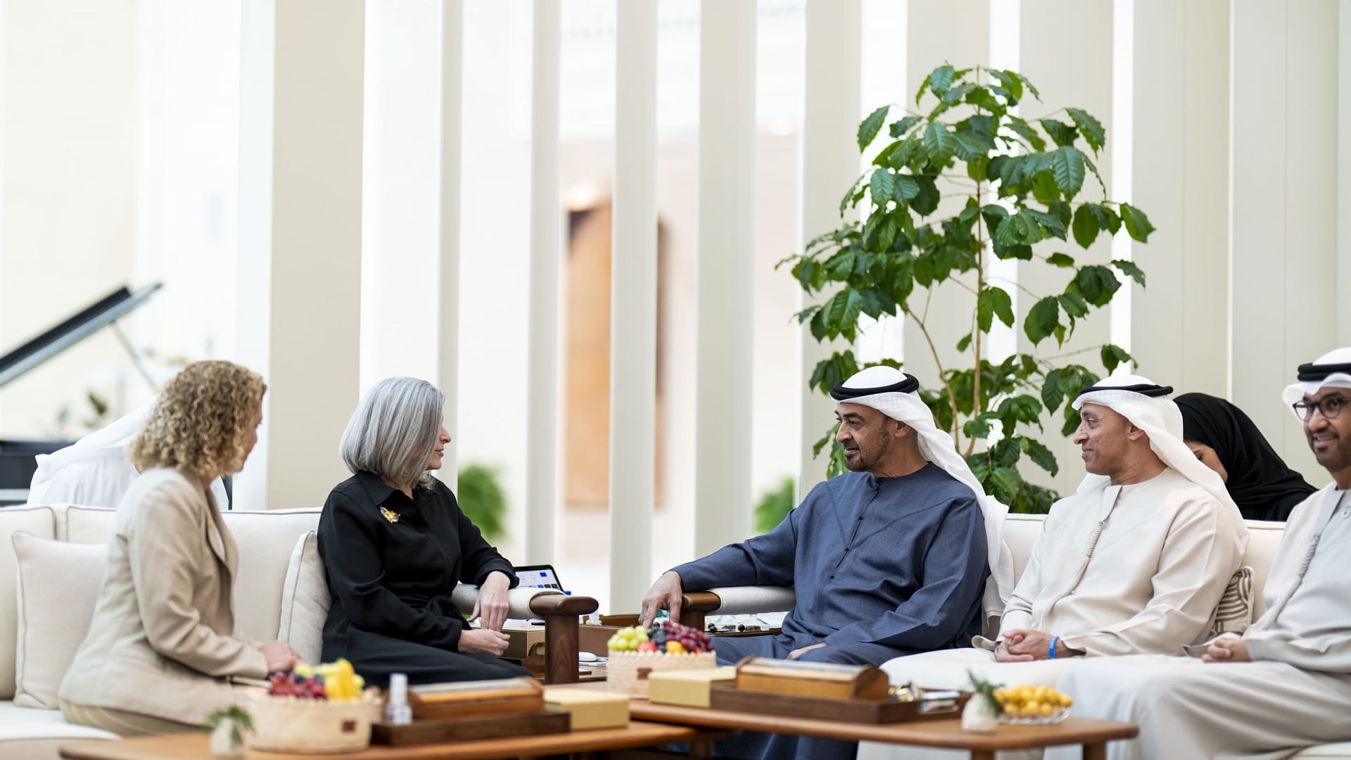 UAE President receives US Congress delegation